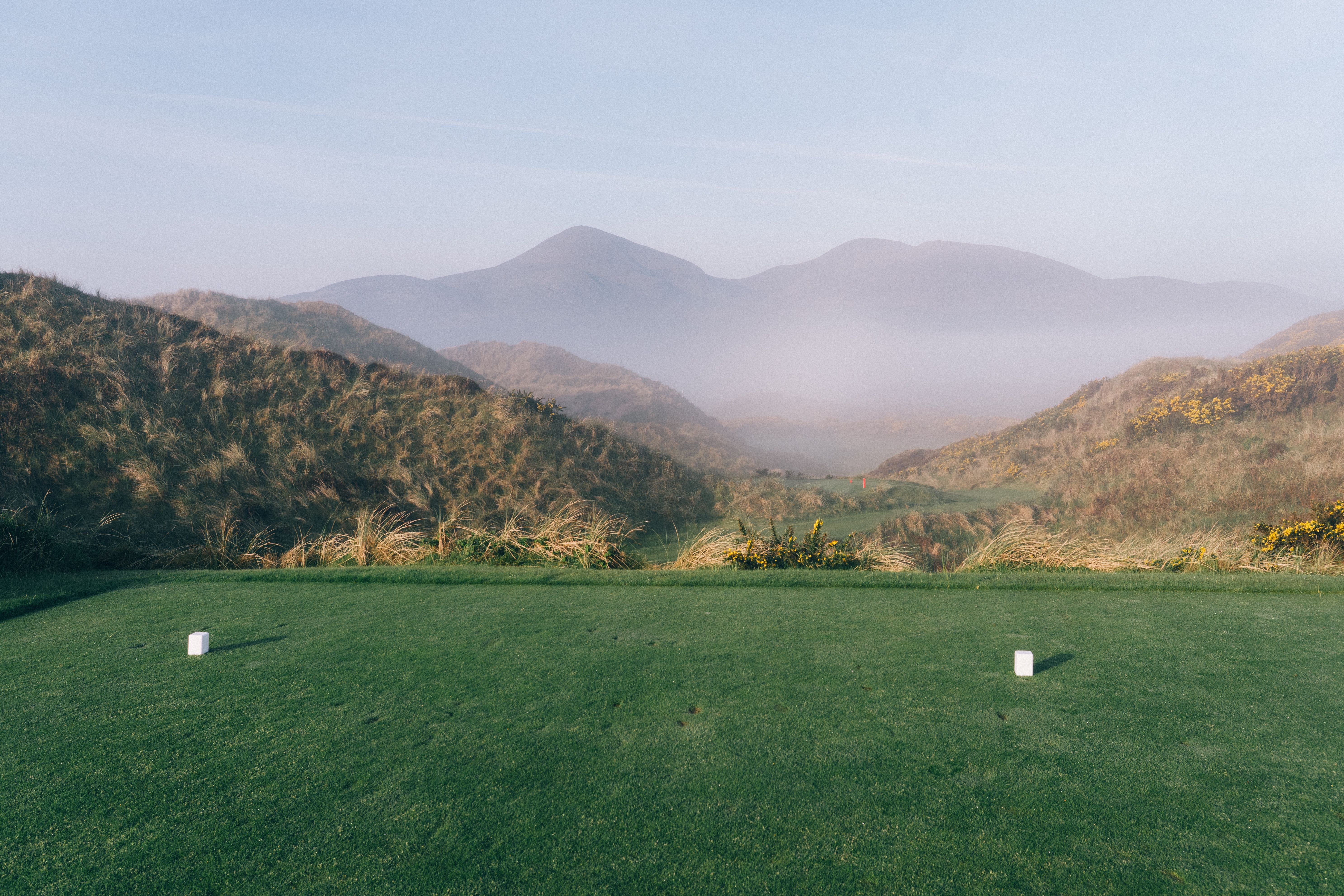 Tee box at Royal County Down looking toward misty mountains through gorse-covered dunes