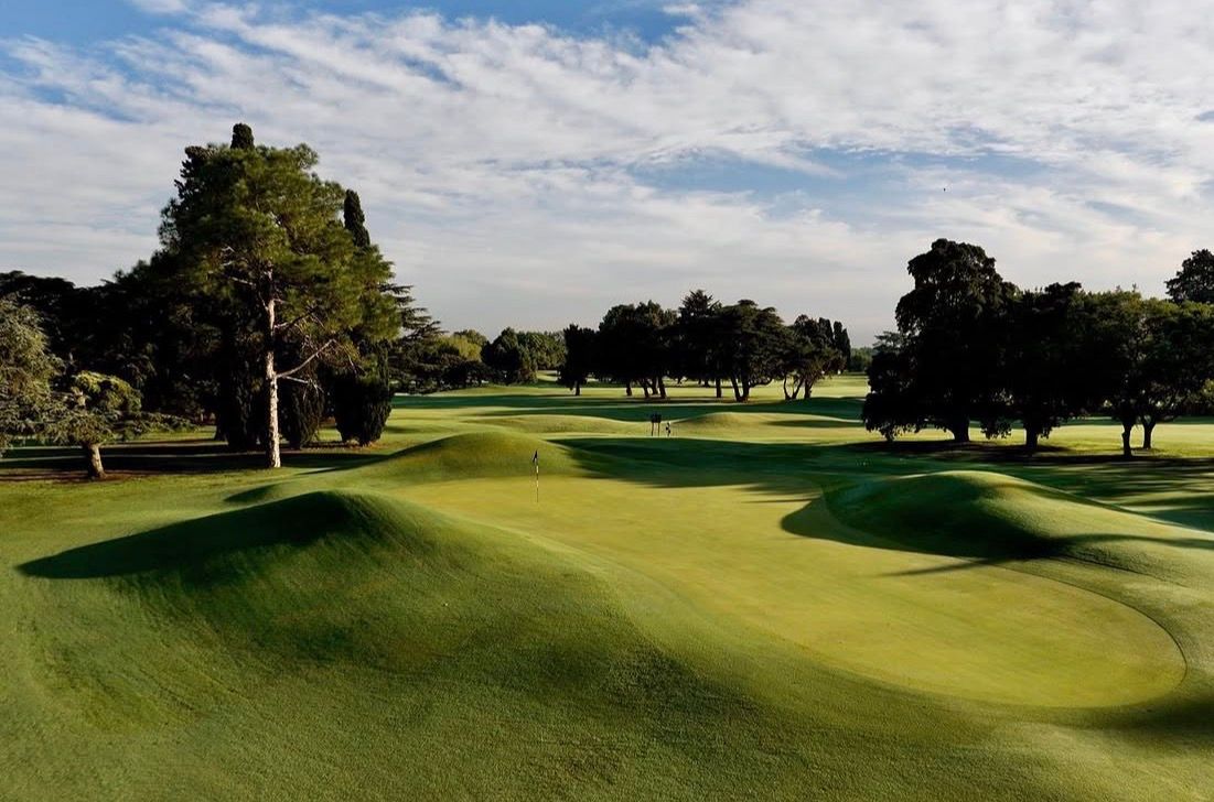 Rolling mounded green at Jockey Club golf course, lined by tall pine trees