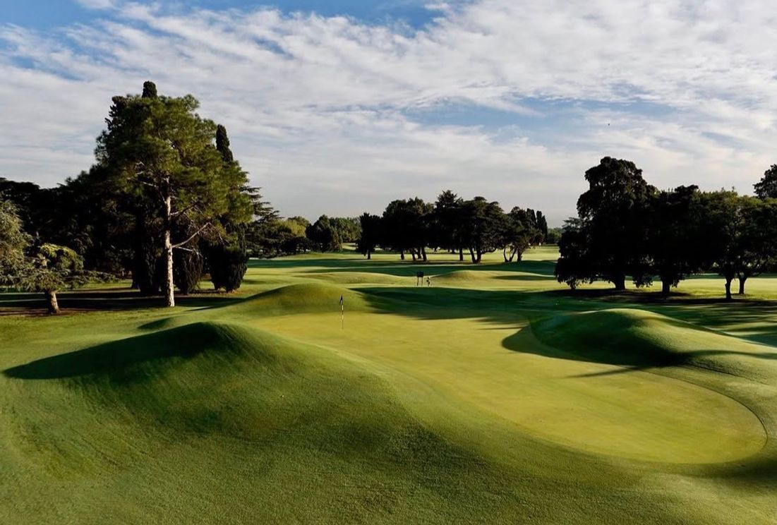 Rolling mounded green at Jockey Club golf course, lined by tall pine trees