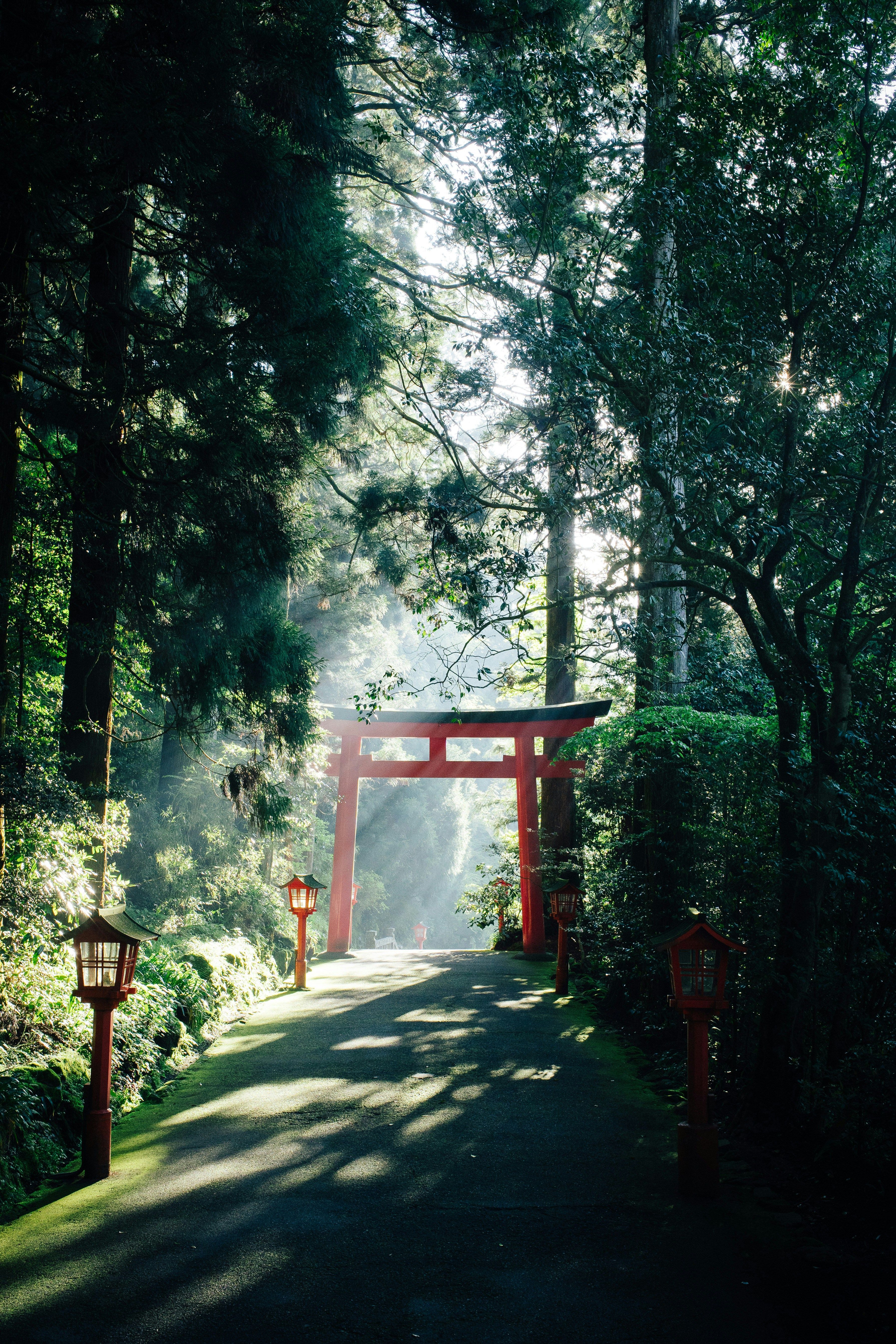 Red torii gate and lanterns on a forest path in Japan