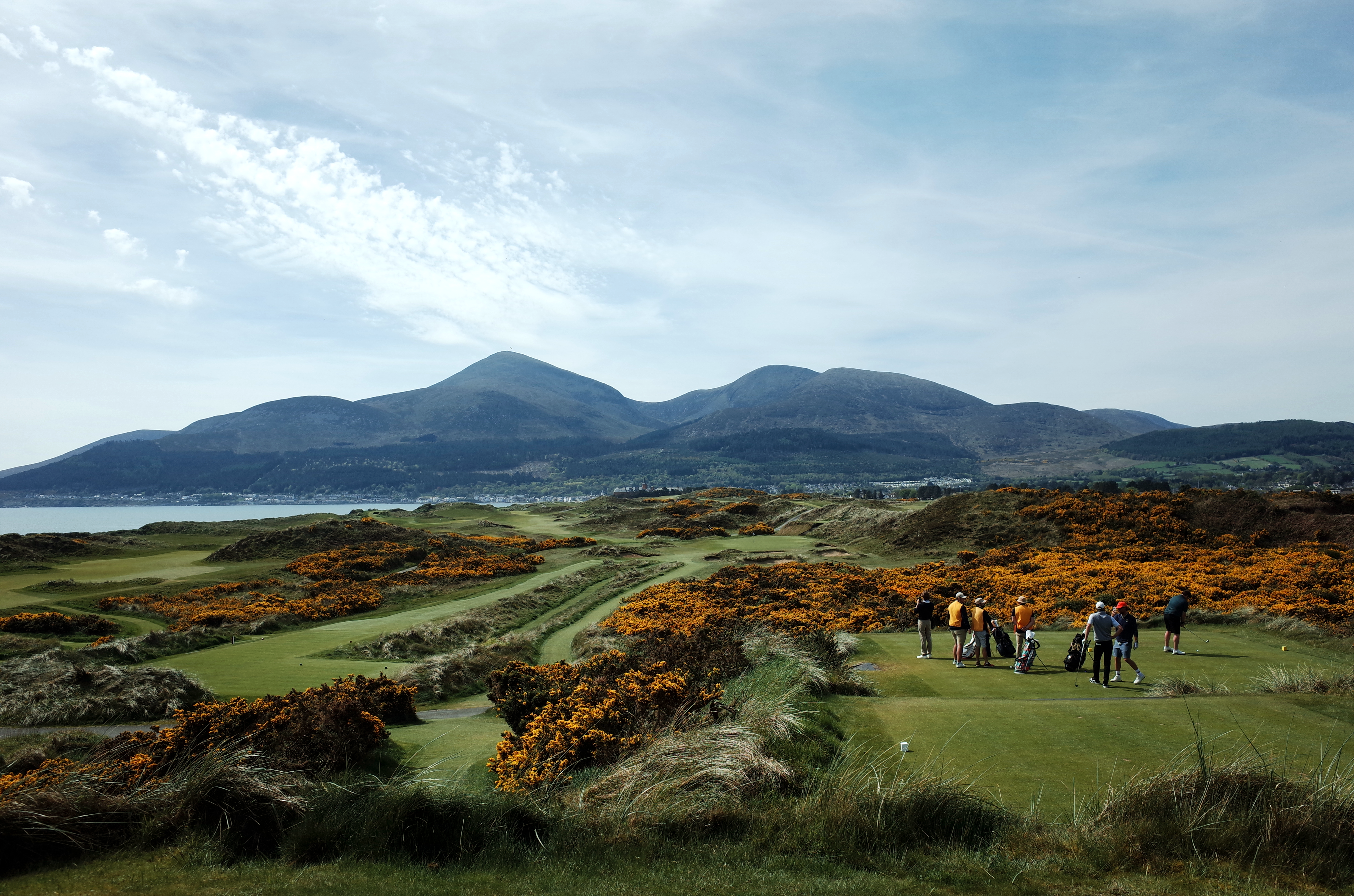 Golfers on a tee at Royal County Down amid gorse with the Mourne Mountains behind