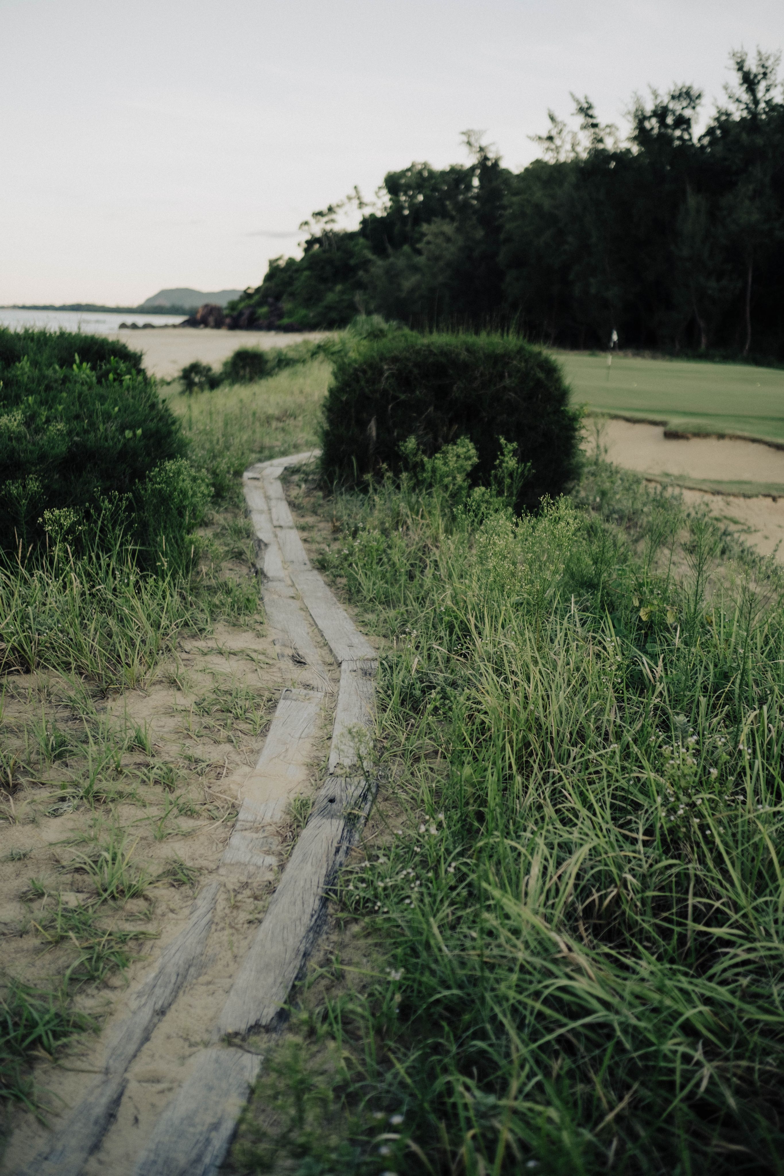 Wooden boardwalk path through grass to a green at Laguna Golf Lang Co, Vietnam