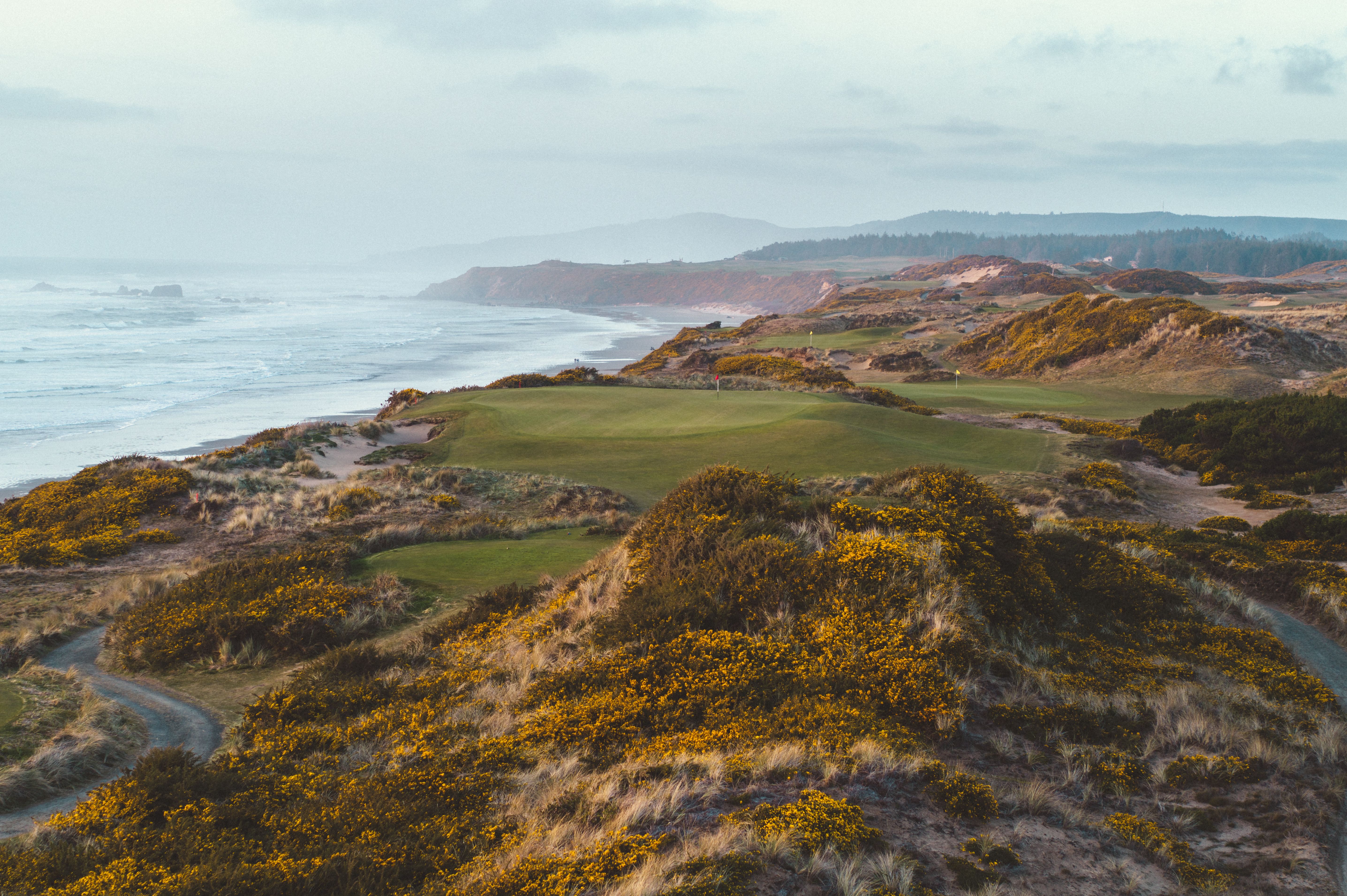 Links course among gorse-covered dunes beside the ocean at Bandon Dunes