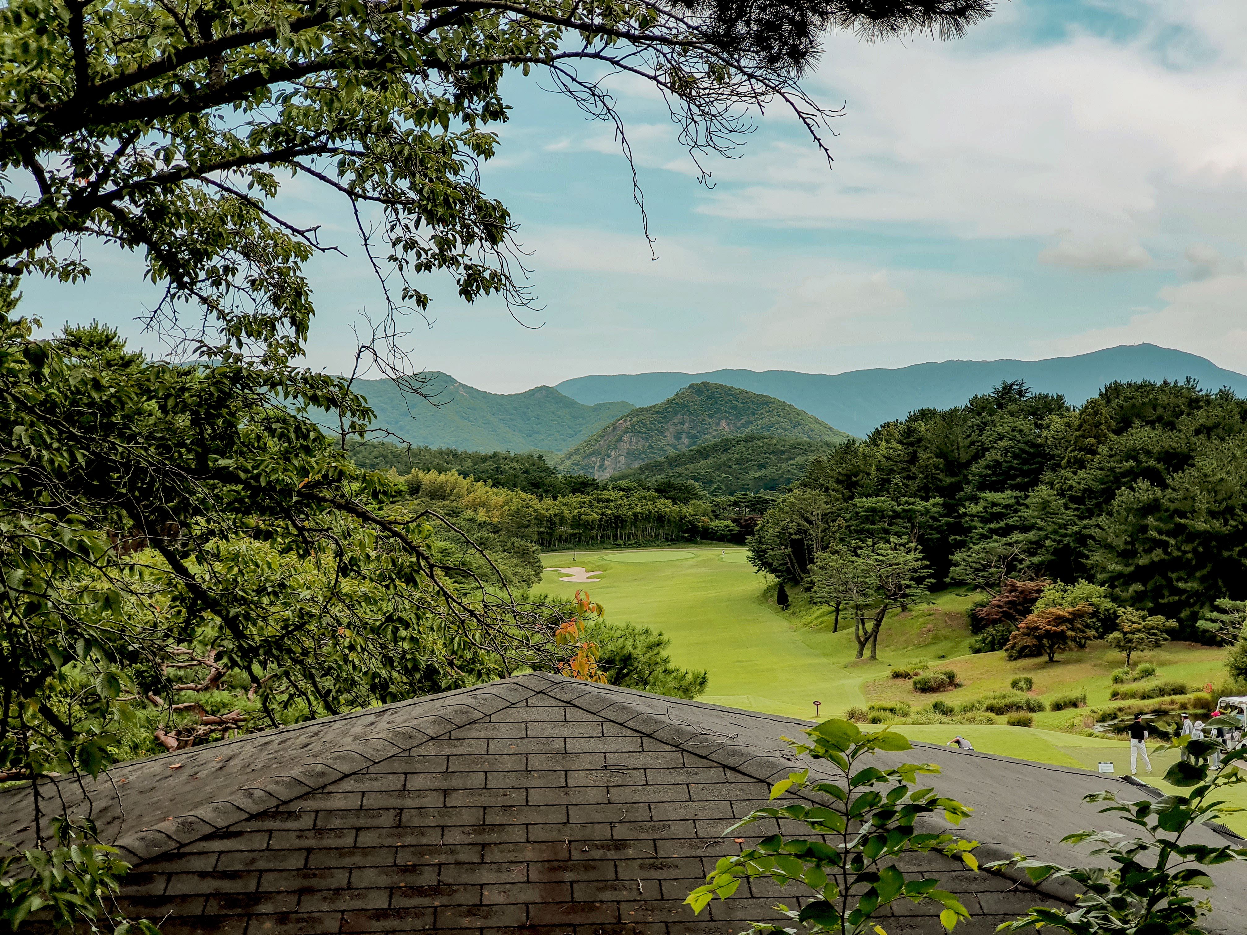 Golf fairway framed by pine trees and green mountains in South Korea