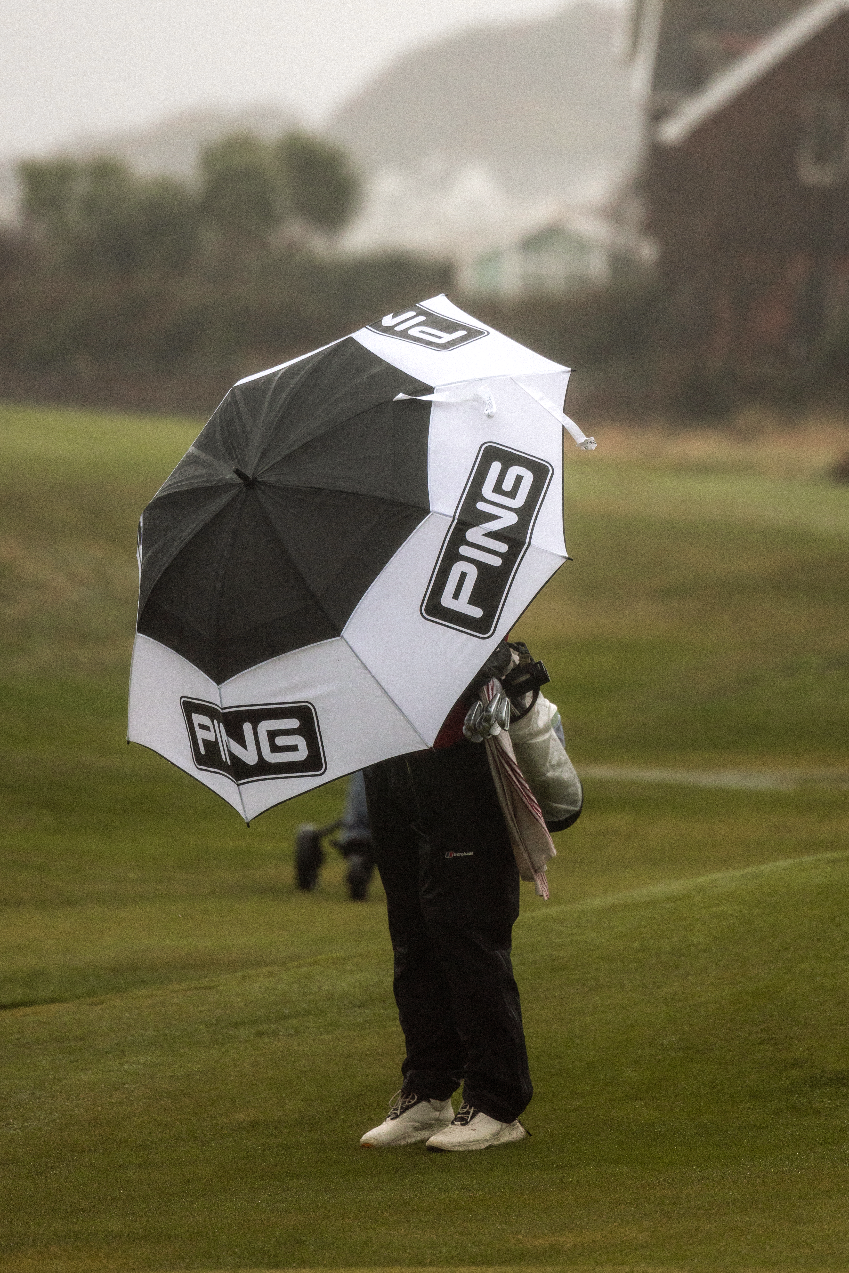 Golfer carrying a bag under a black and white PING umbrella on a rainy links course