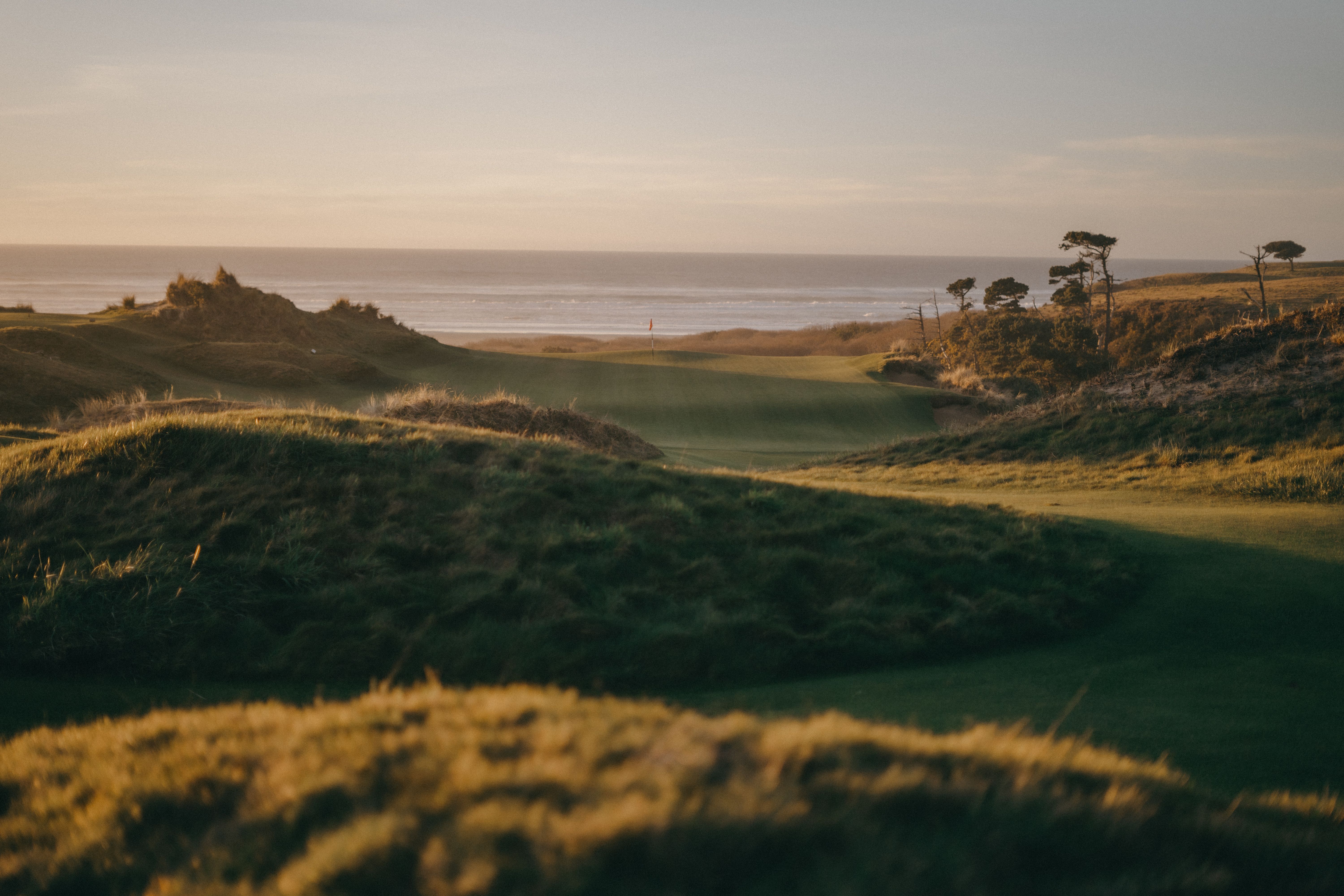 Rolling dunes and grass at Bandon Preserve with the Pacific Ocean at sunset