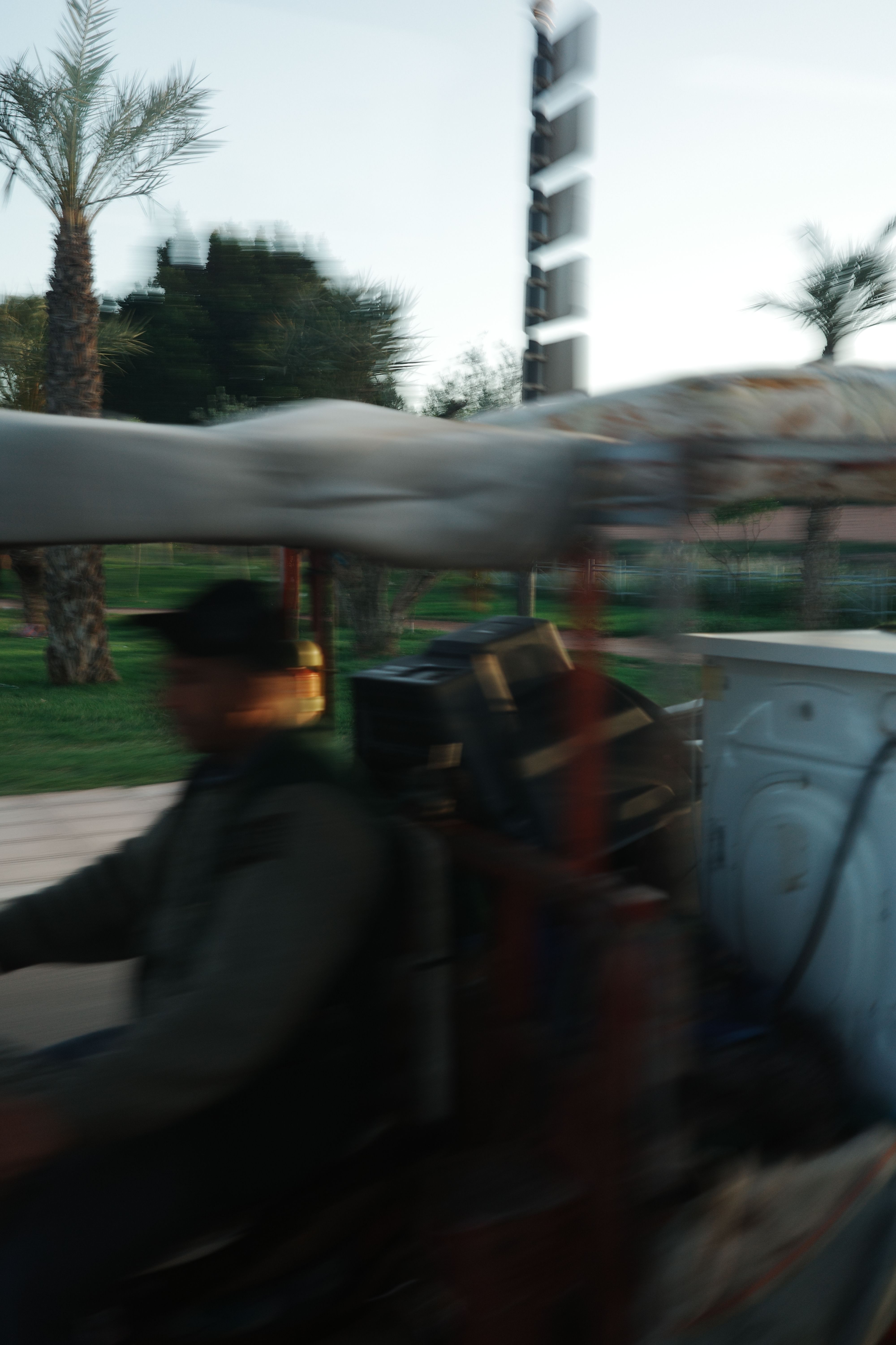 Motion-blurred rider on a cart passing palm trees