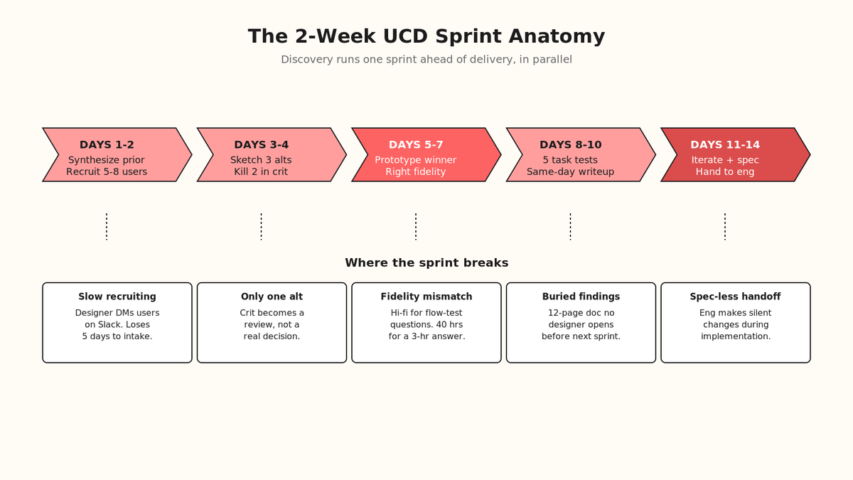 Day-by-day breakdown of what a two-week UCD sprint produces, with skip risks flagged for each activity