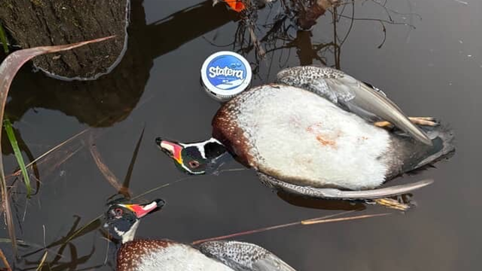 Adult packing a labeled caffeine pouch can in secure hunting and fishing gear