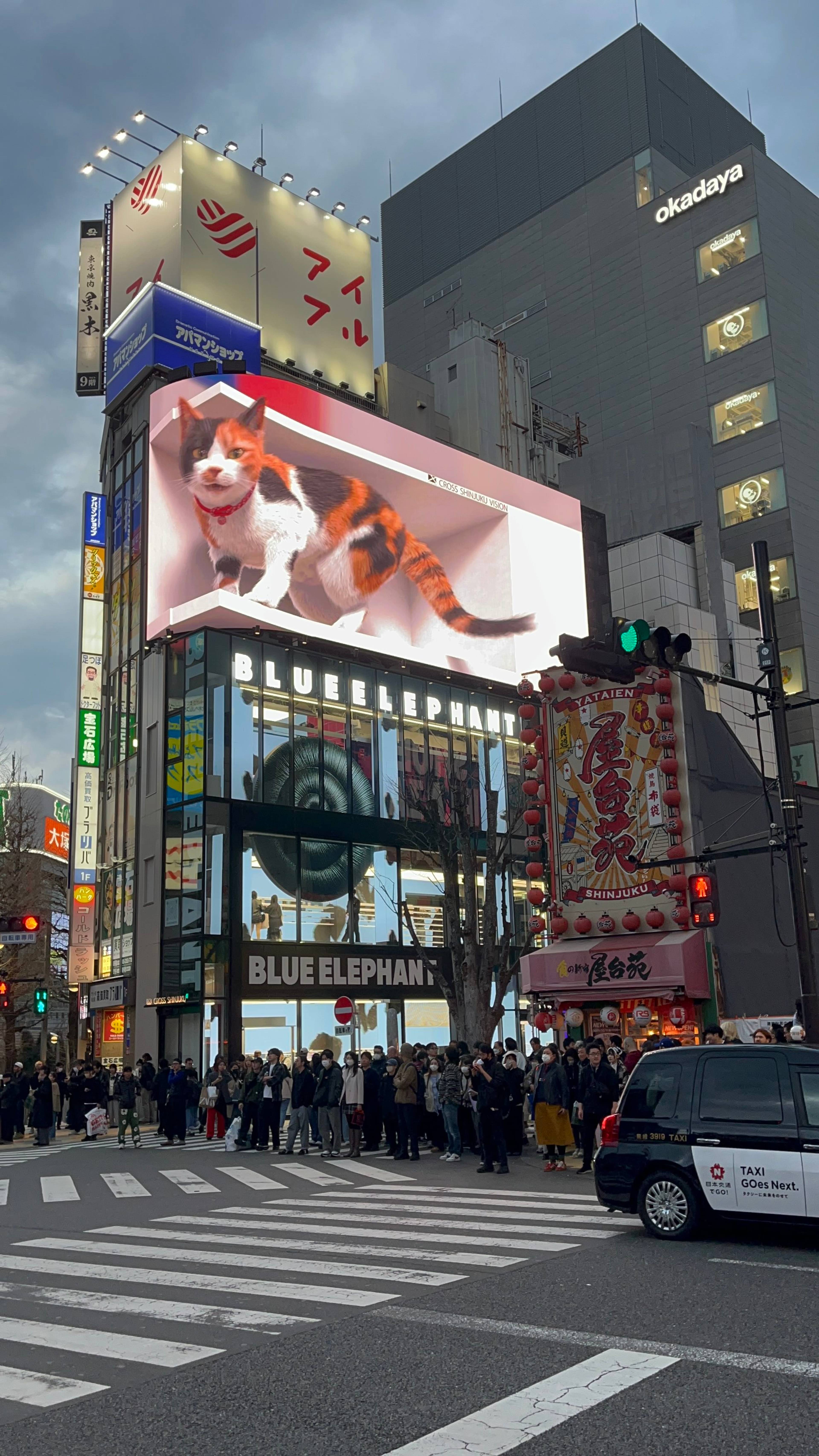 Skrzyżowanie w dzielnicy Shinjuku w Tokio z dużym ekranem reklamowym z iluzją 3D kota na budynku; tłum przechodniów czeka przy przejściu dla pieszych w otoczeniu neonowych szyldów.