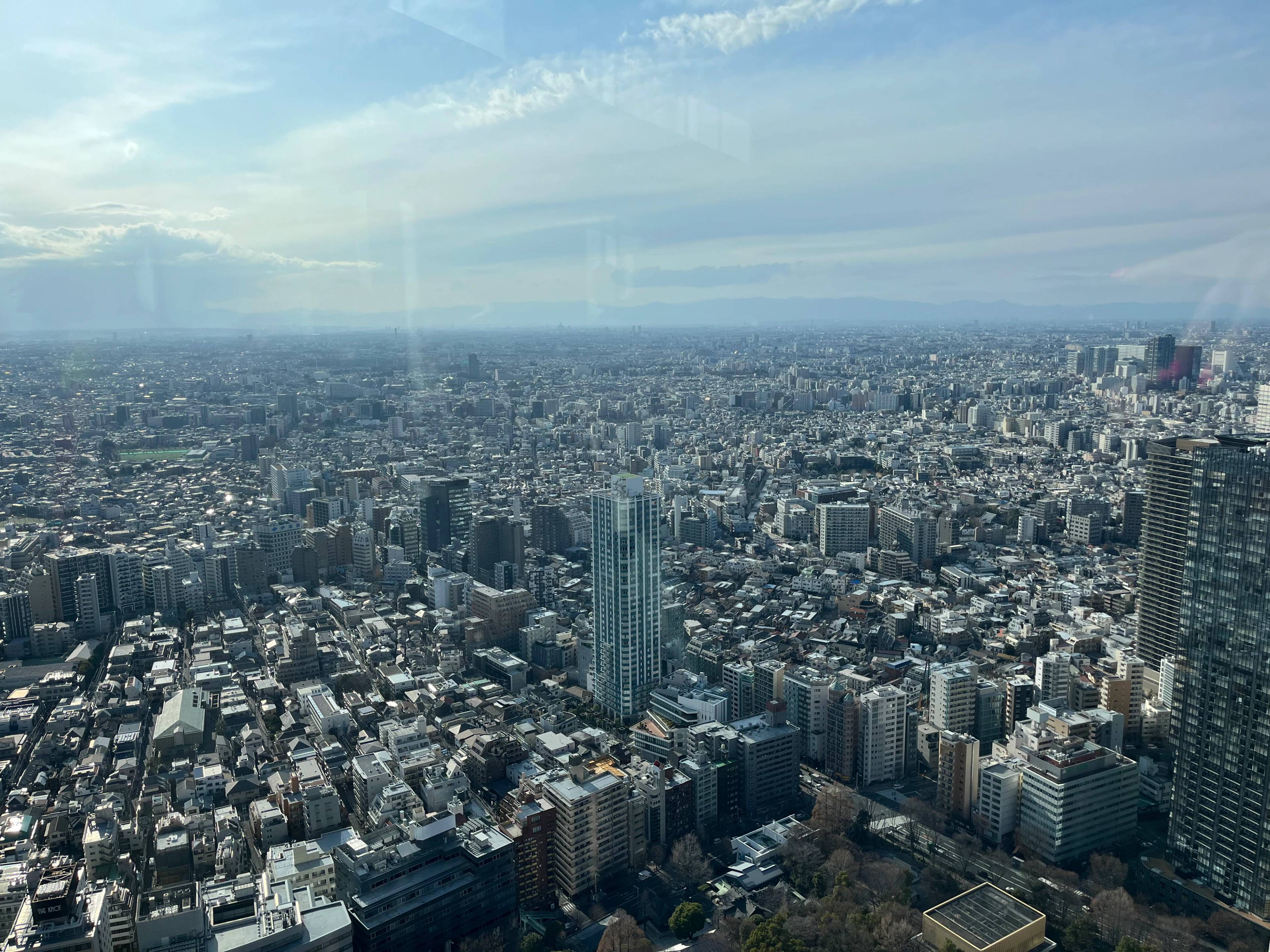 Panorama Tokio widziana z góry, widać morze budynków, niebo i chmury w tle. 
