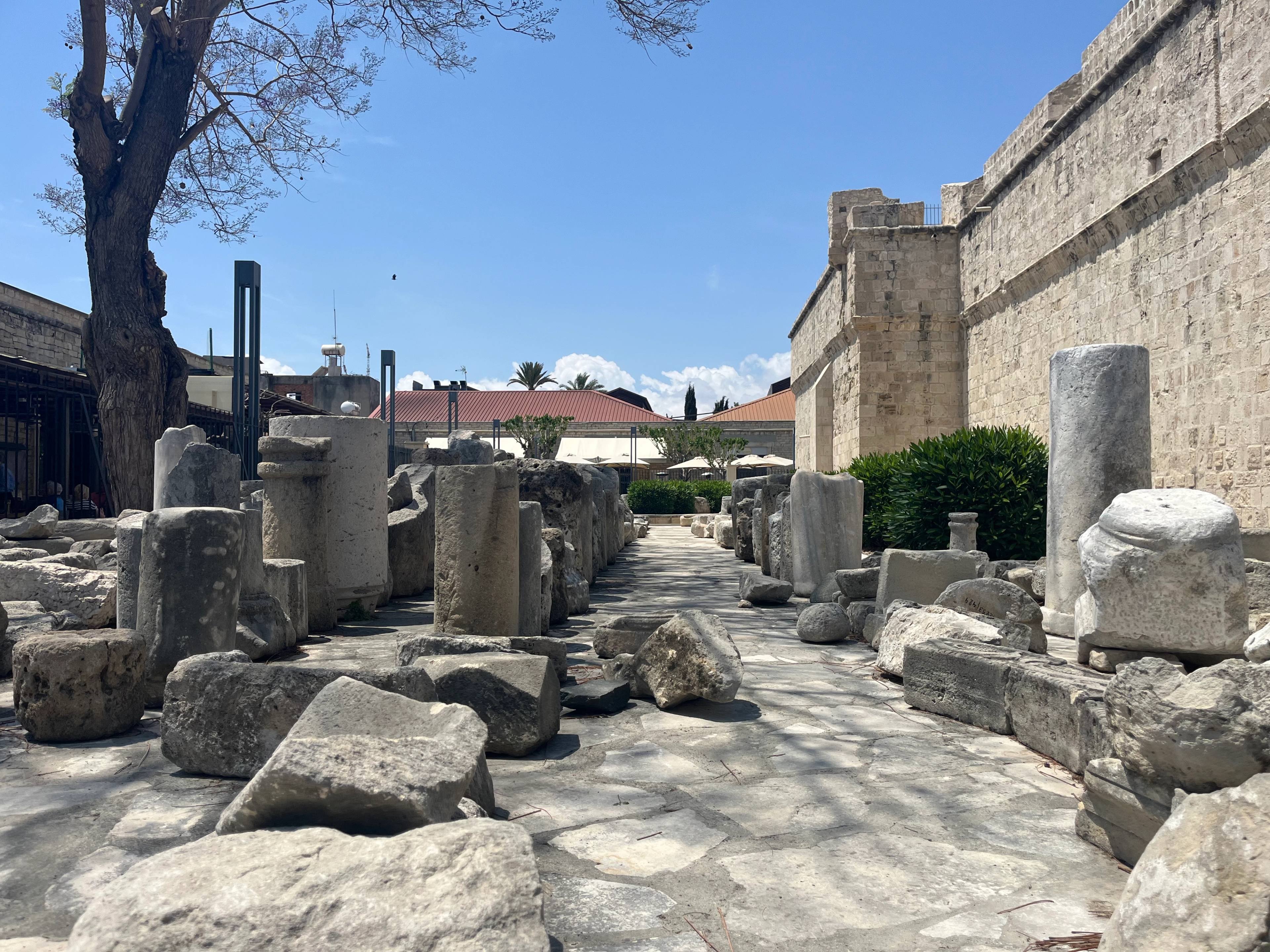 Ruiny archeologiczne z kamiennymi kolumnami i fragmentami, drzewem po lewej i zabudowaniami w tle.