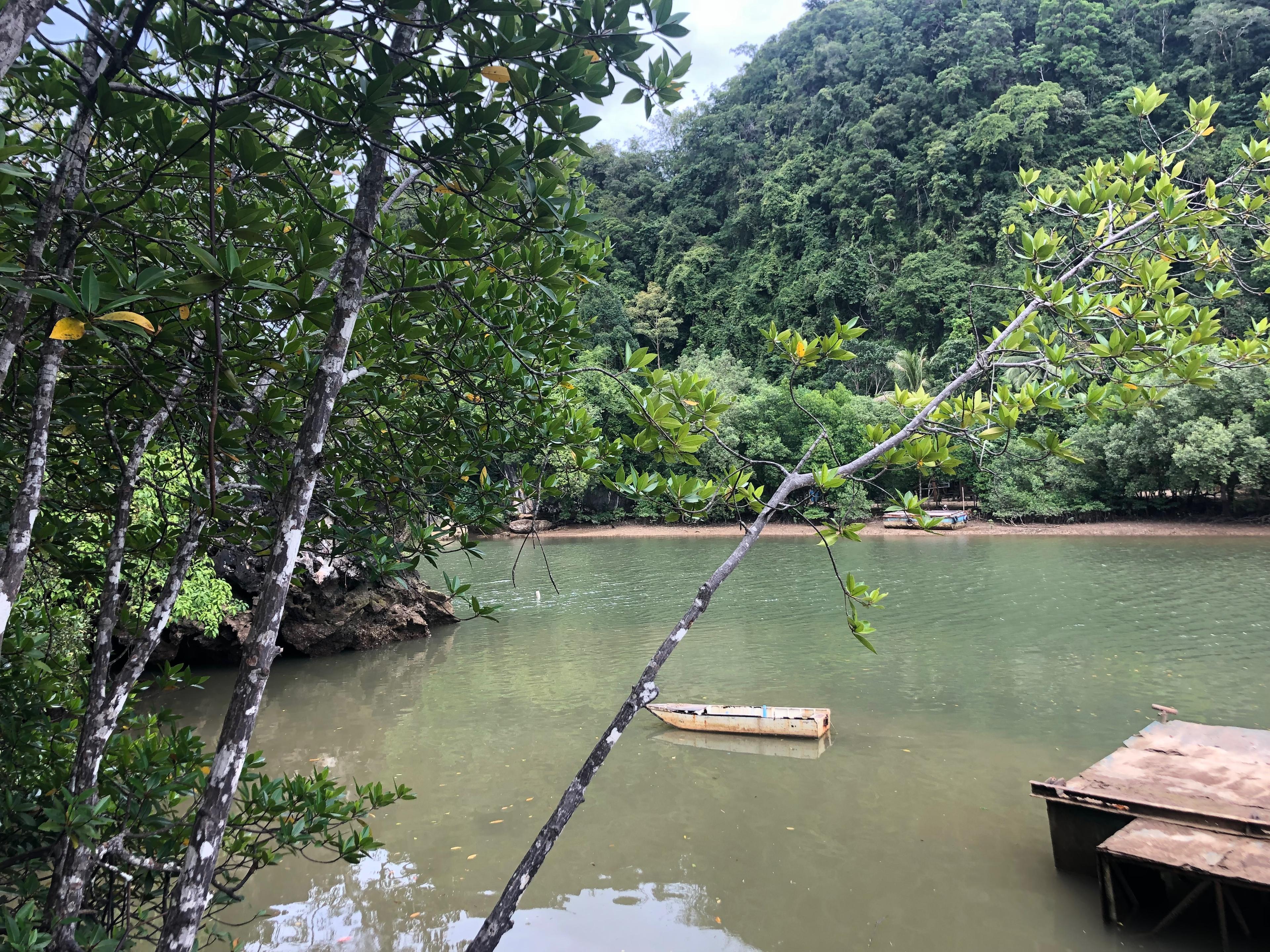 Las tropikalny, rzeka i kawałek pomostu oraz łódka. 