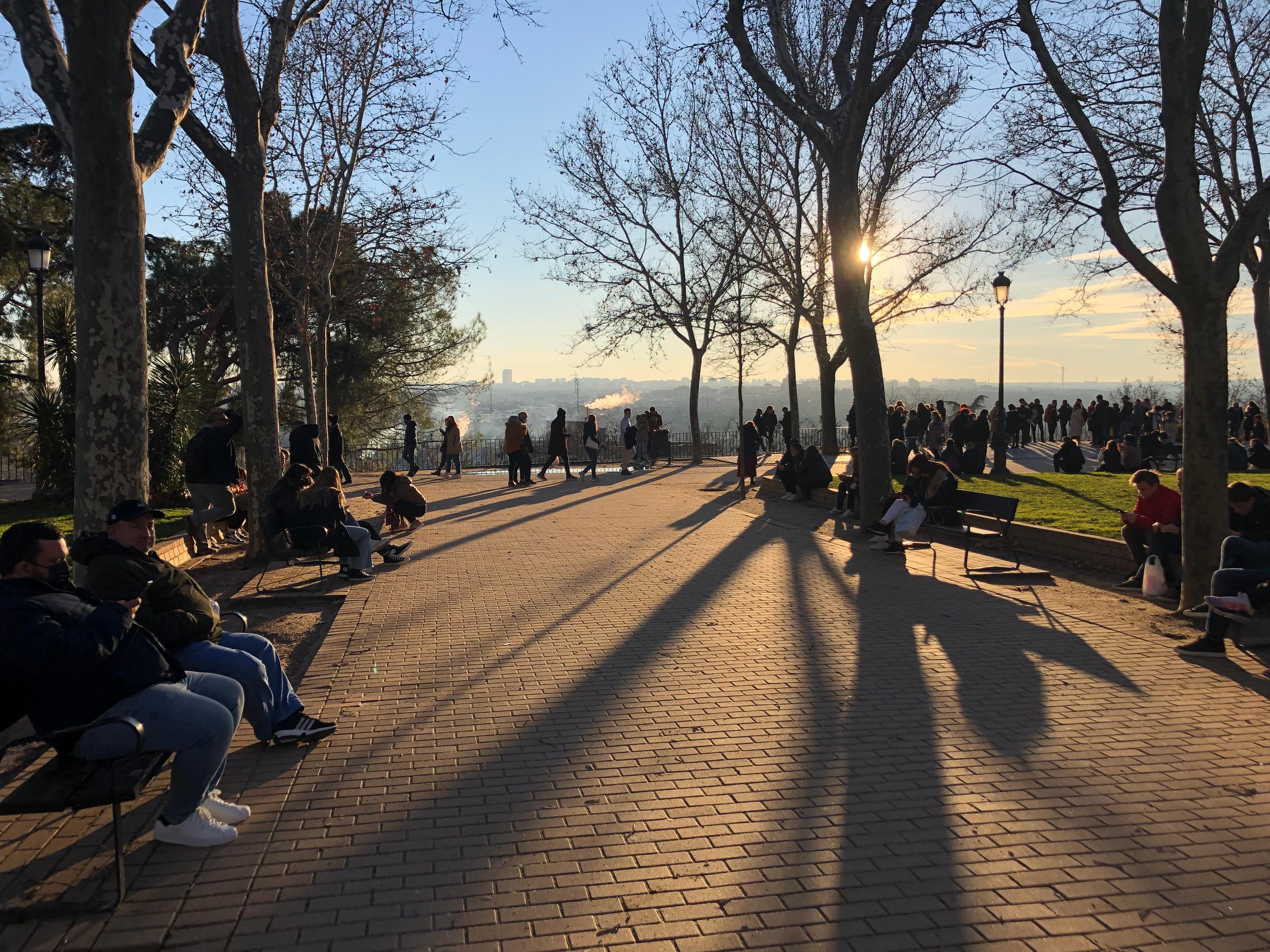 Ludzie w parku, alejka, drzewa i zachód słońca