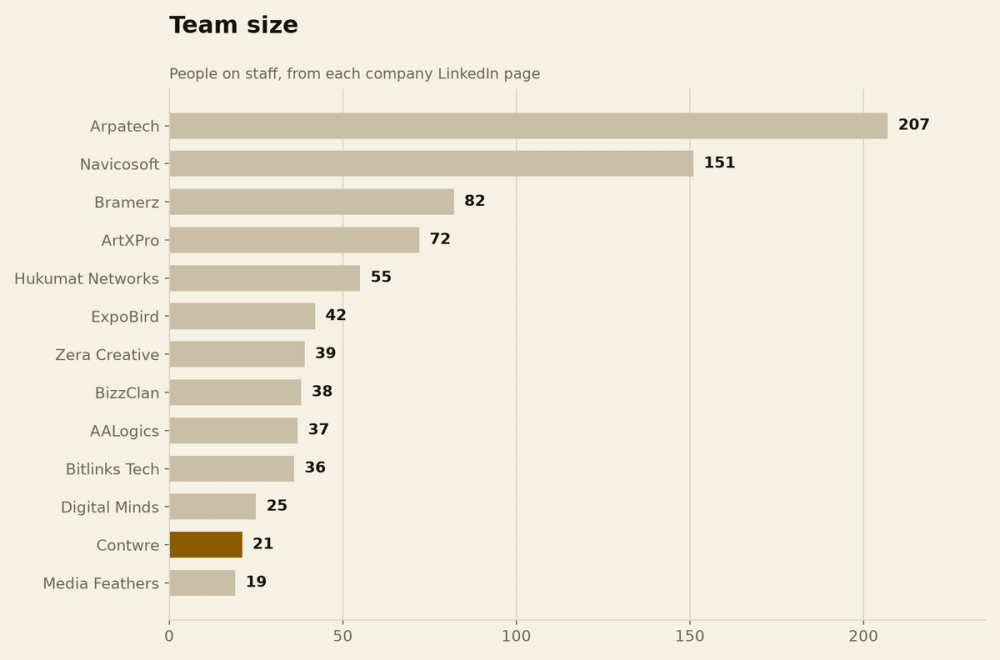 Team size