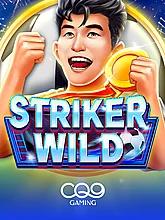 Striker WILD