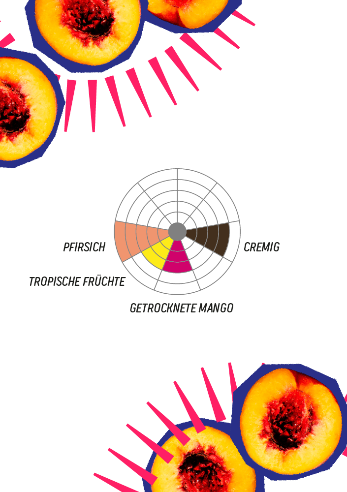 AFRUTADO_PEACH_flavor_wheel.png