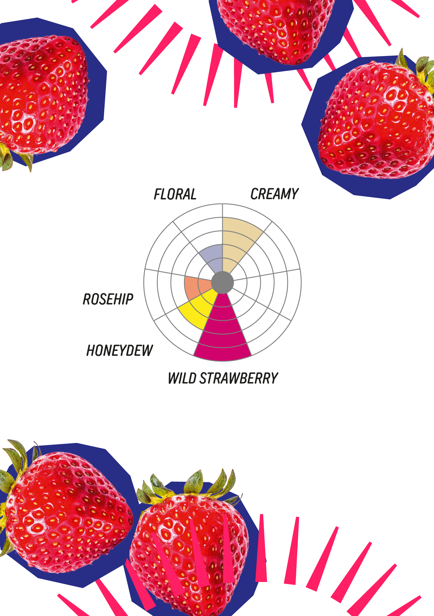 AFRUTADO STRAWBERRYenglish ver.png