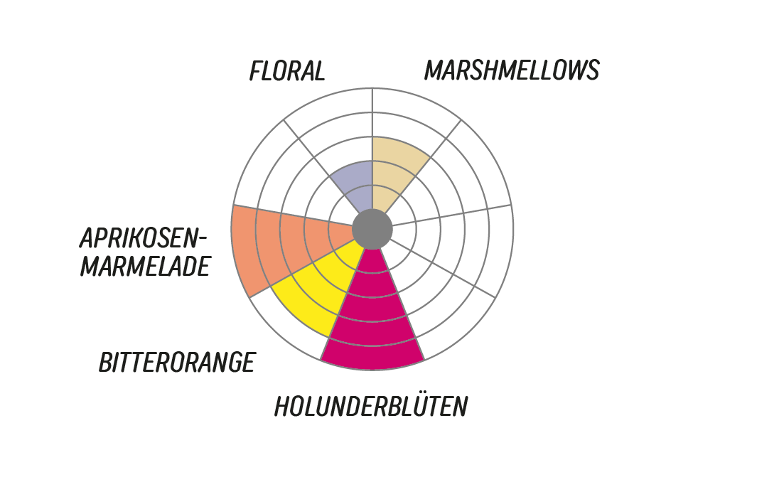 Bourbon Aji Washed by JHOAN VERGARABourbon Aji Washed by Jhoan Vergara Flavorwheel.png