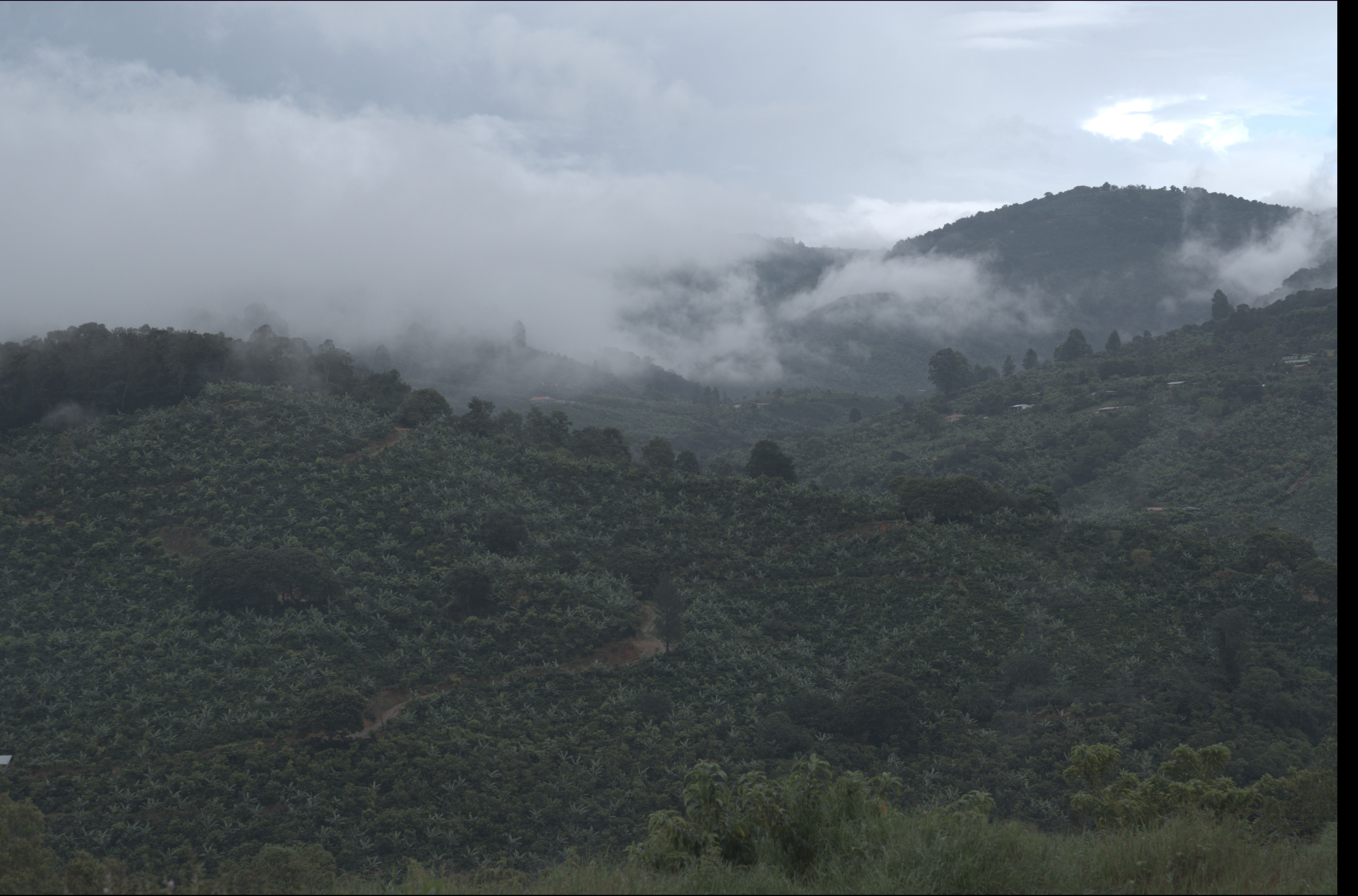DSCF8429.jpg