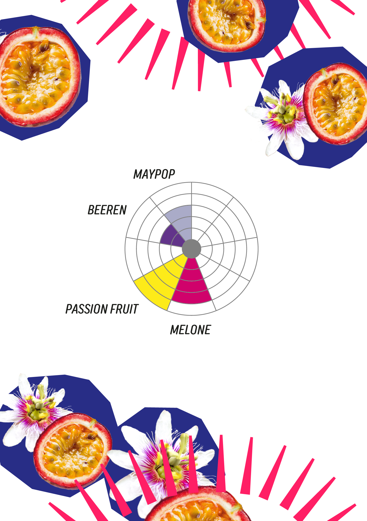 AFRUTADO_Maracuya.png