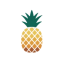 icon of Pineapple Kamil Daniel