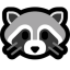 icon of RacoonDR