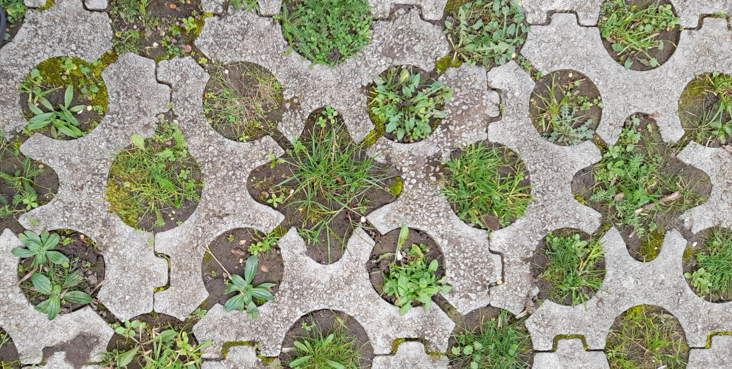 close up of gaps with soil and plants