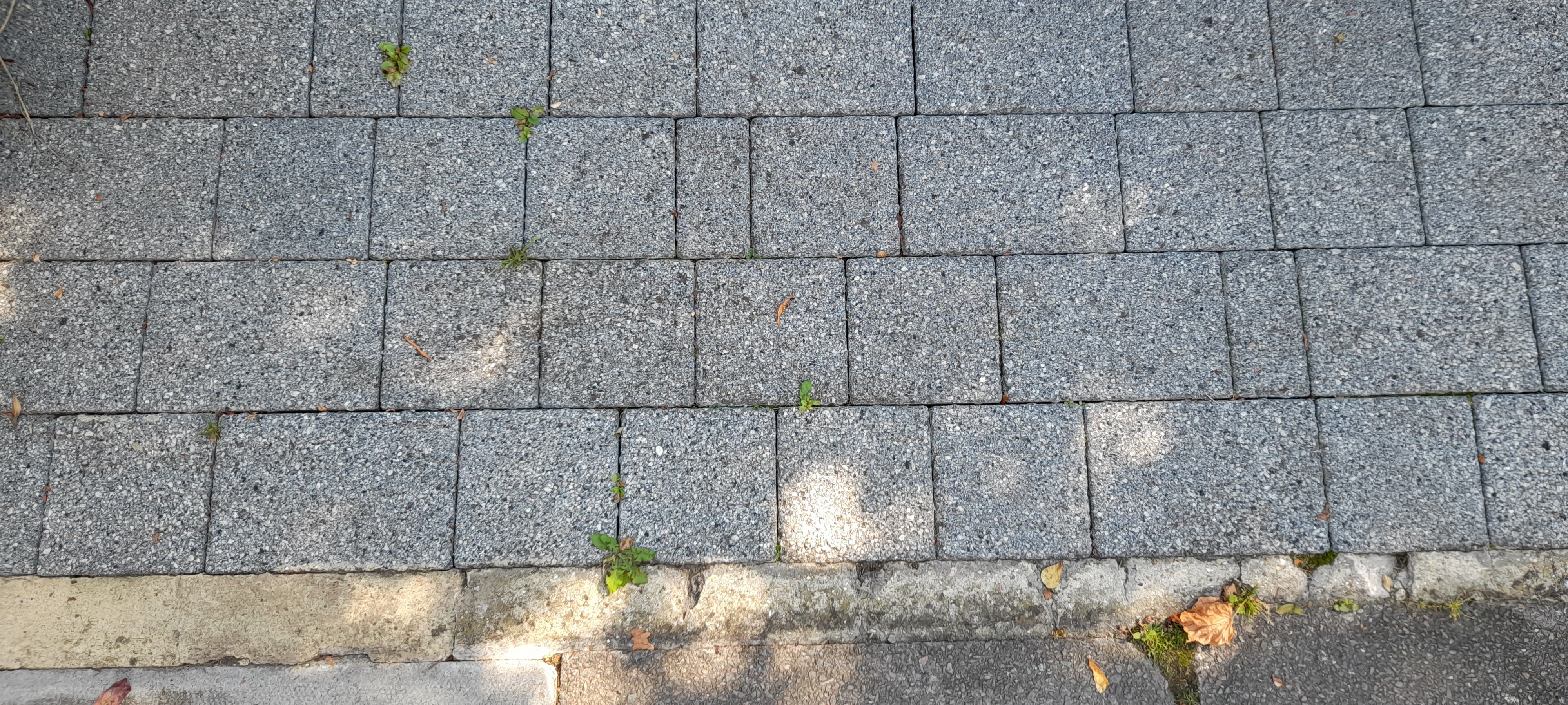 paving with weeds