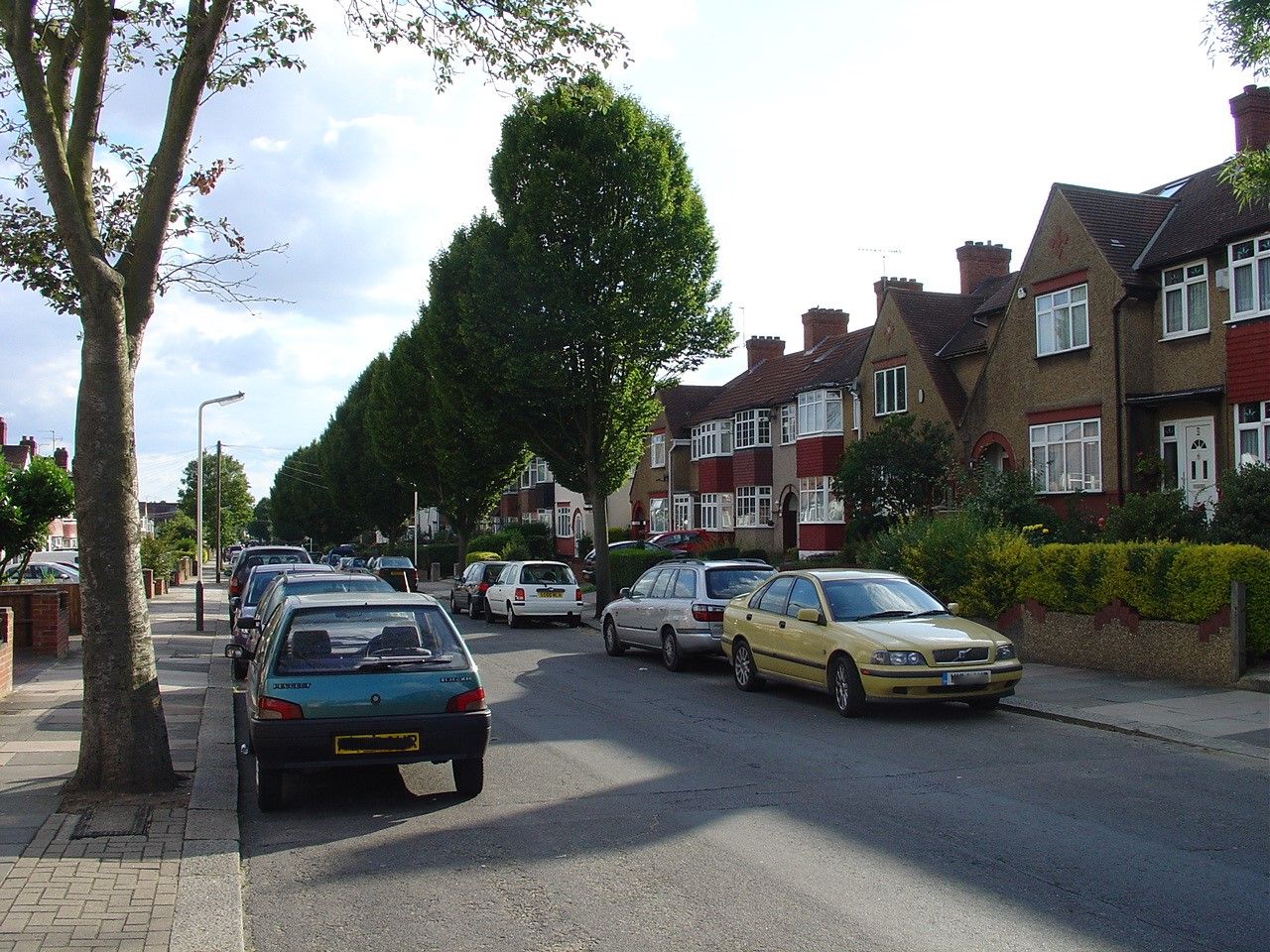 Road with street trees and parked cars
