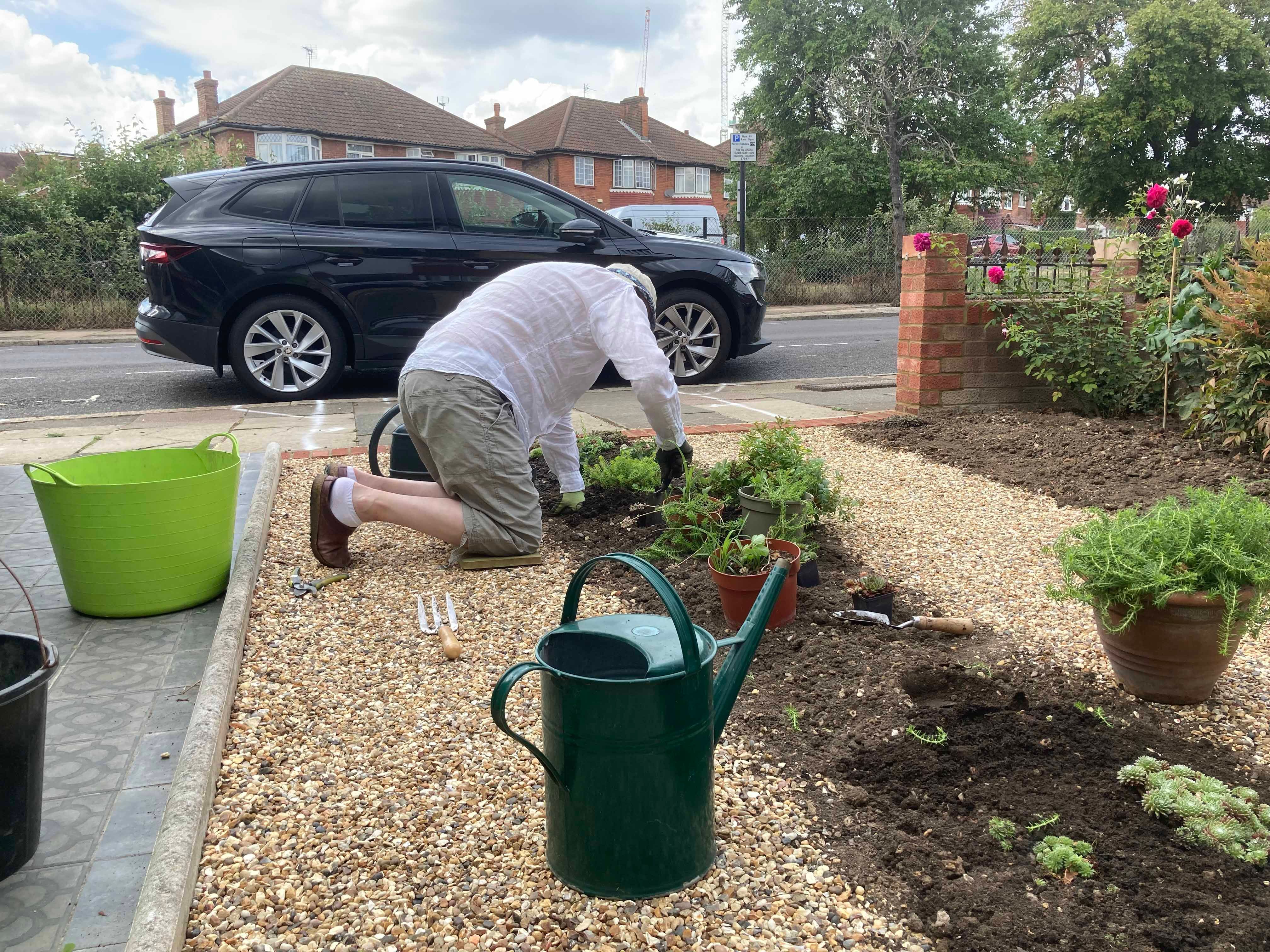 A person planting between two parking strips in a front garden