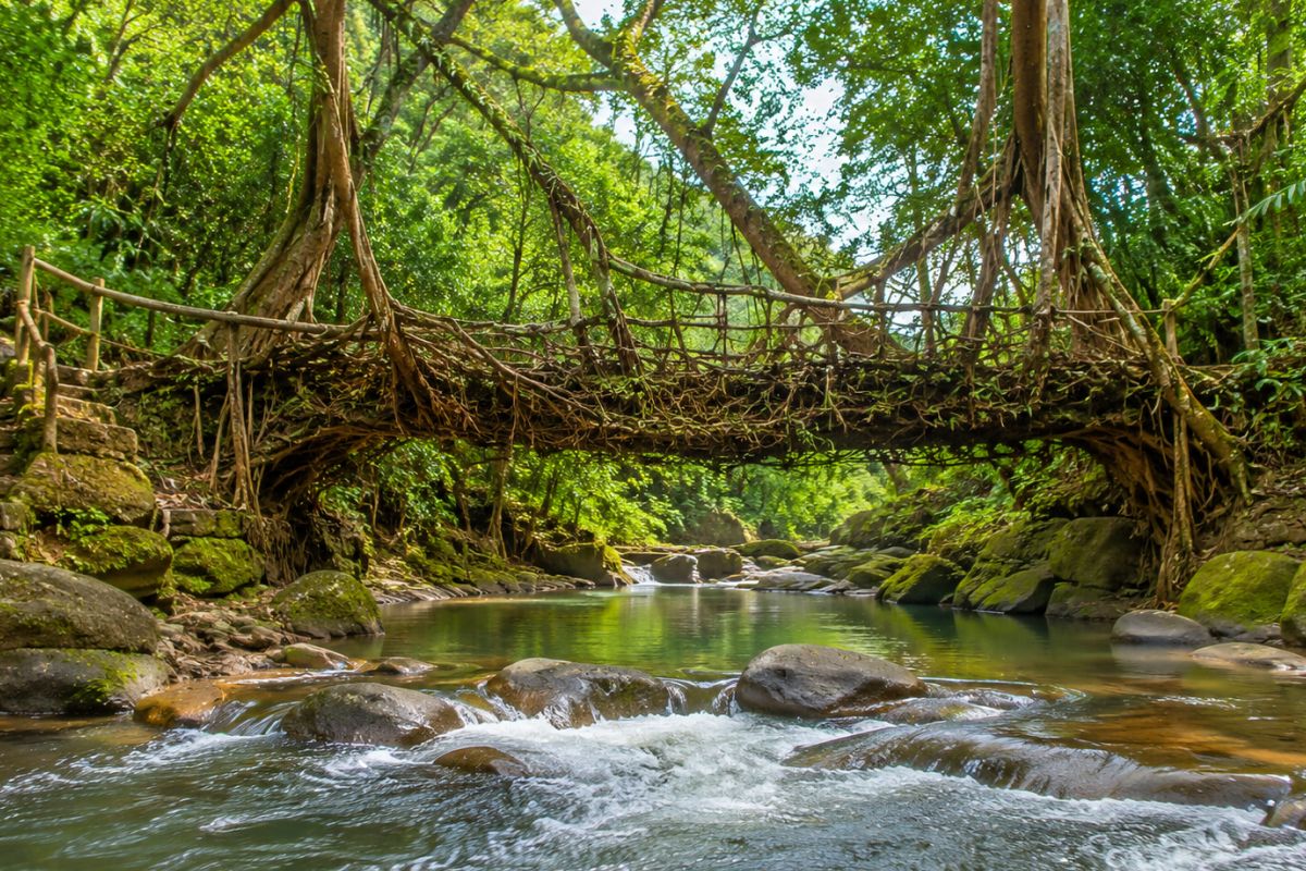 Mawlynnong Cleanest Village & Riwai Root Bridge