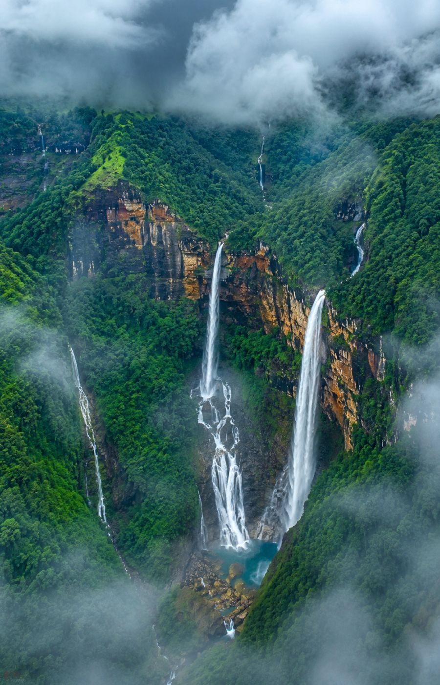Meghalaya — Living Root Wonders