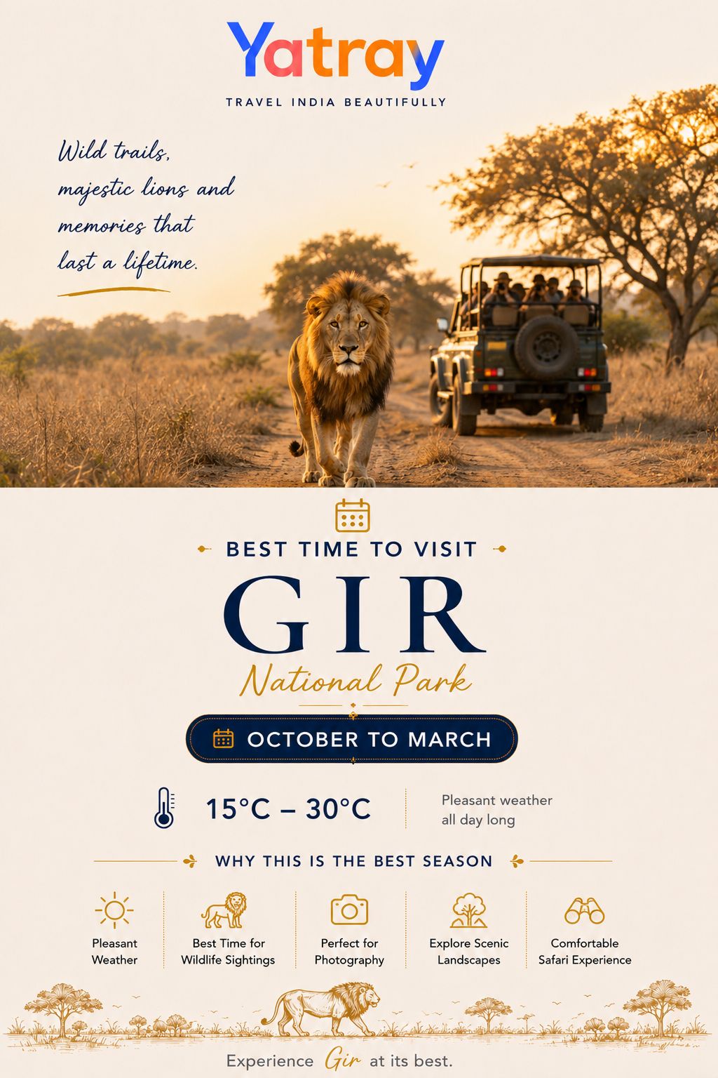An open safari Gipsy driving along a forest trail in Gir National Park under crisp winter morning sunlight