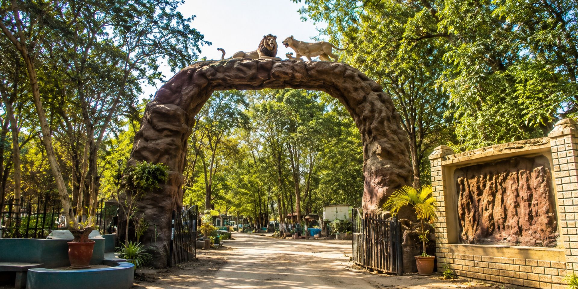 Open safari vehicle navigating through thick teak tree foliage during early morning safari