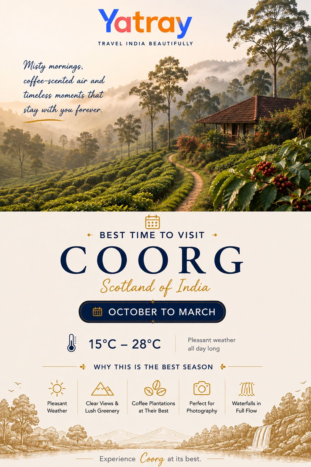 Misty coffee plantation slopes in Coorg during winter season
