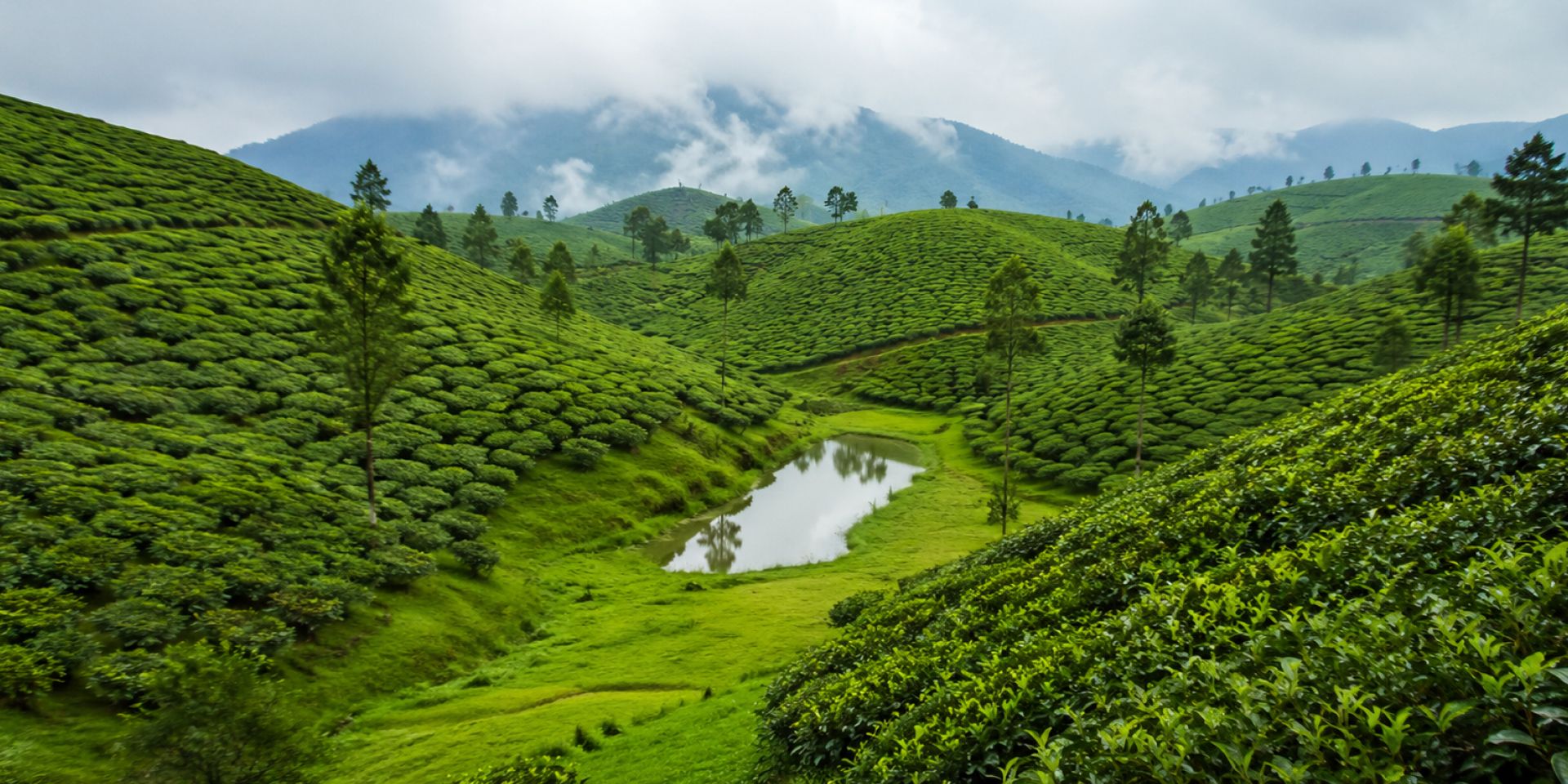Darjeeling - Scenic & Historic