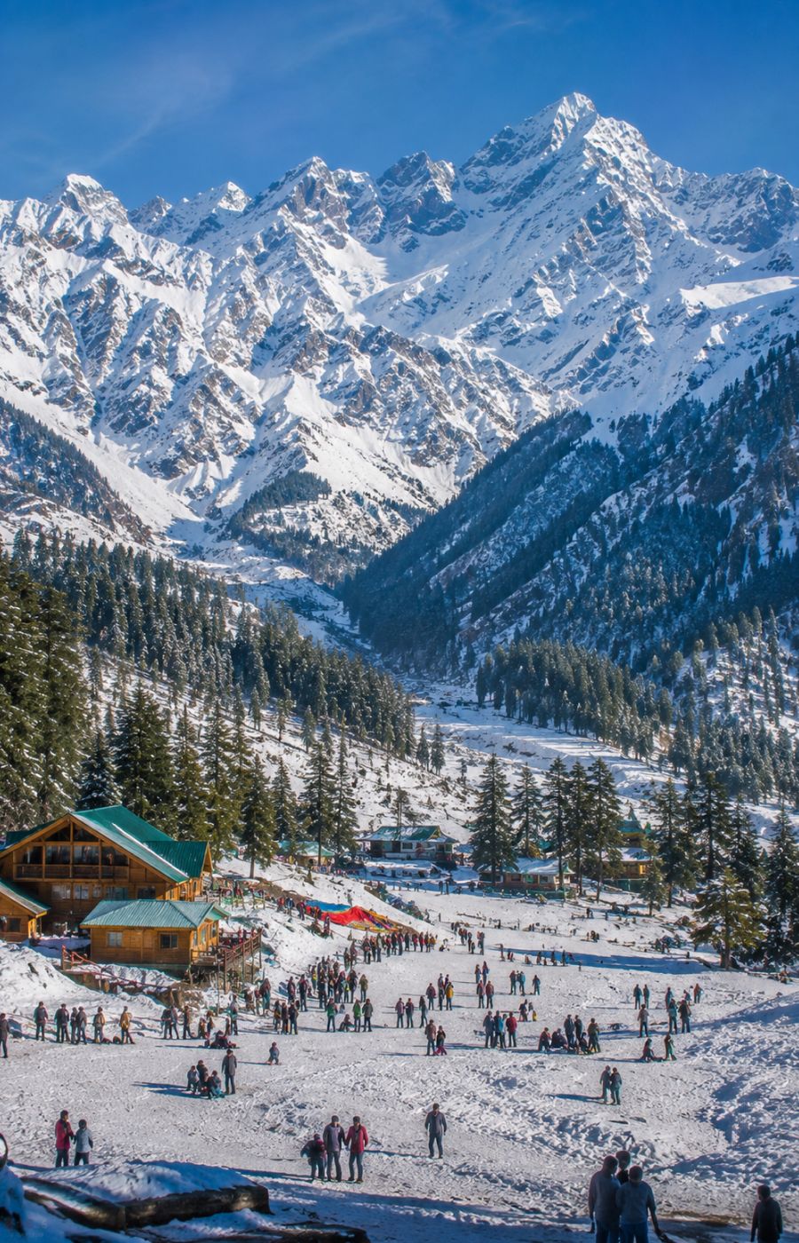 Manali — Snowy Escape