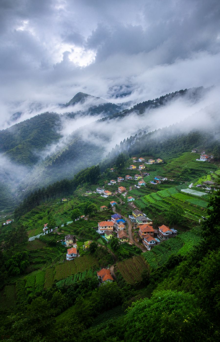 Ooty — Misty Tea Valleys