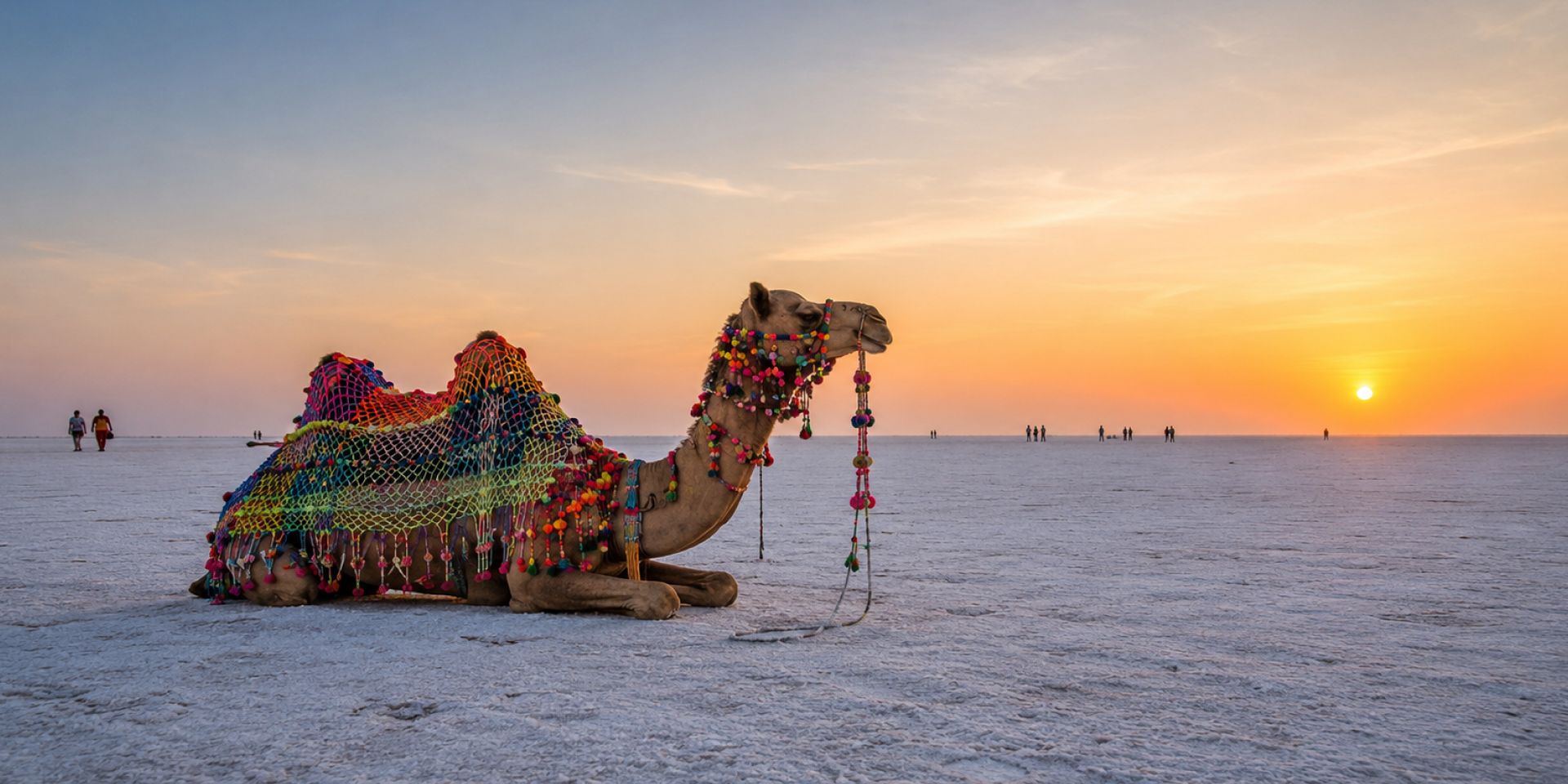 Rann of Kutch - Surreal Salt & Heritage Realm