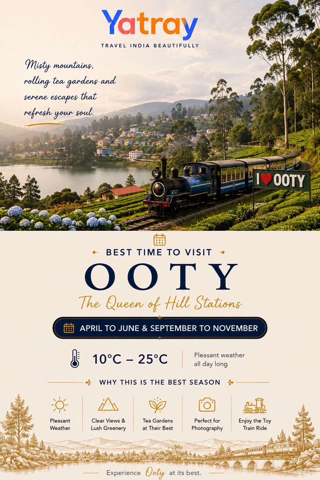 Crisp morning mist over Nilgiri tea plantations in Ooty