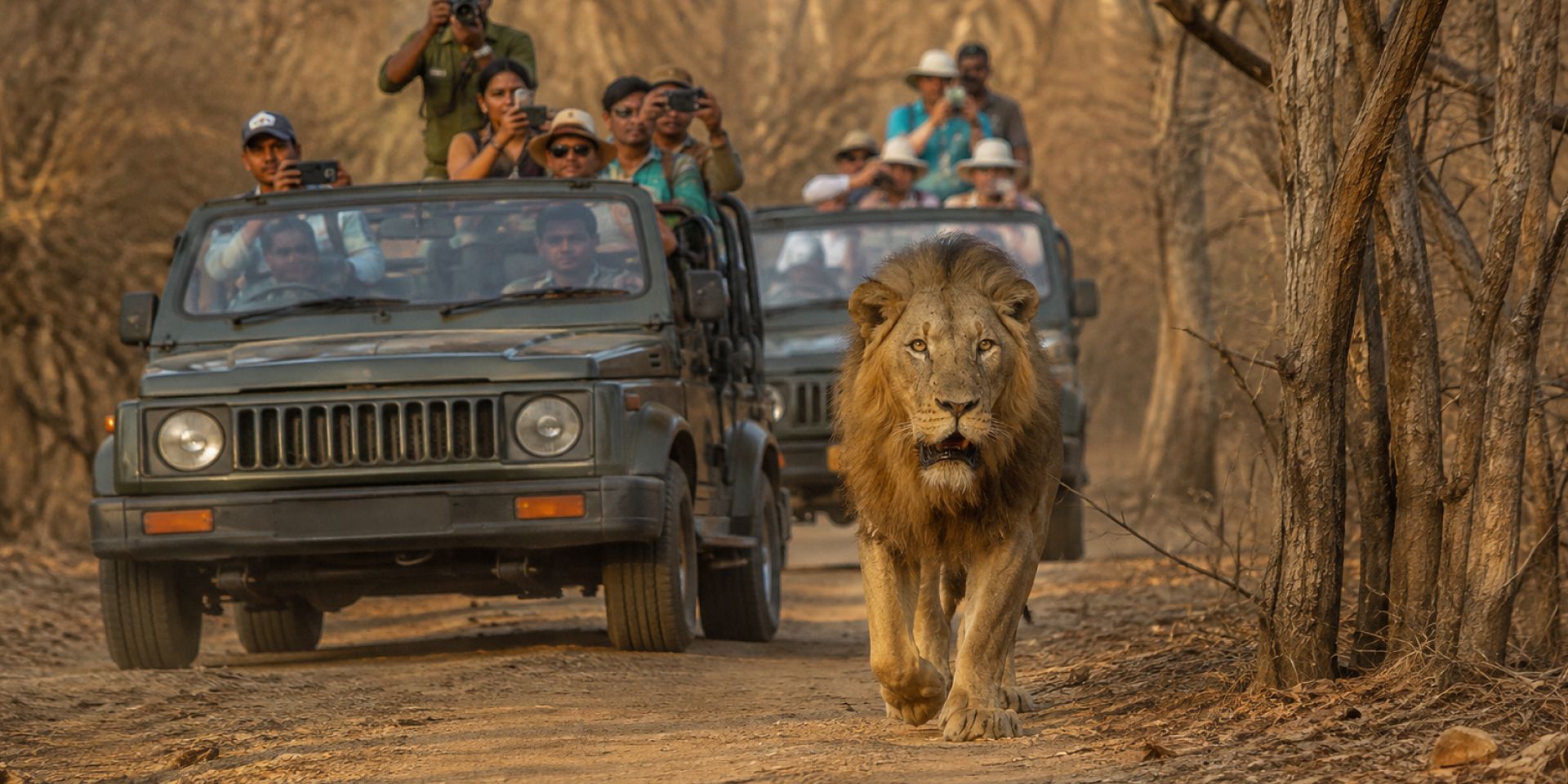 Gir National Park - The Realm of the Asiatic Lion