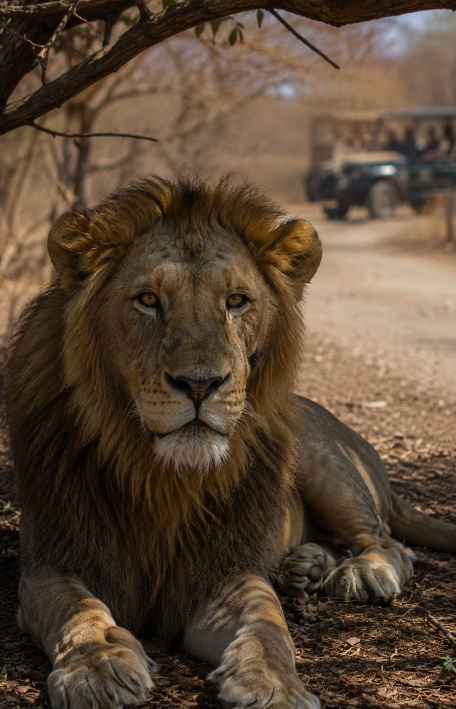 Gir National Park — Wild Jungle Escape