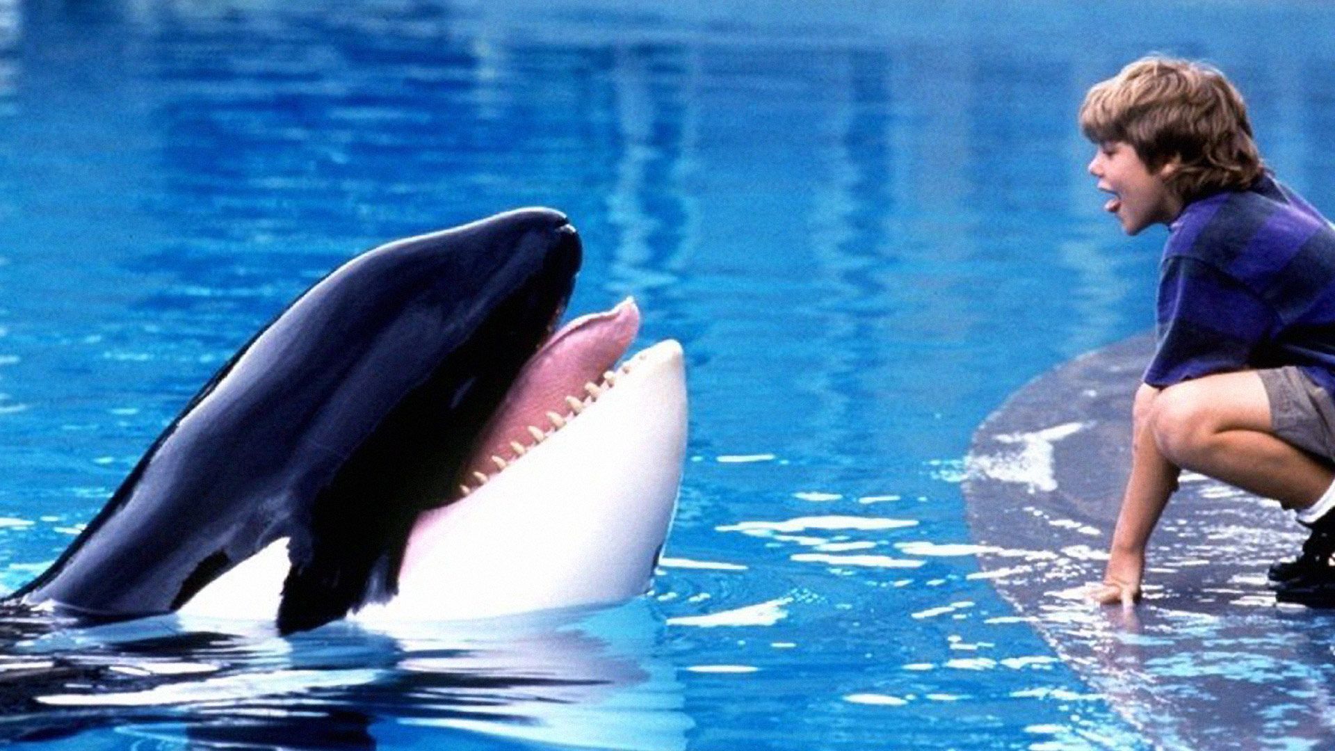 Free Willy remake: Warner ressuscitará clássico dos anos 90