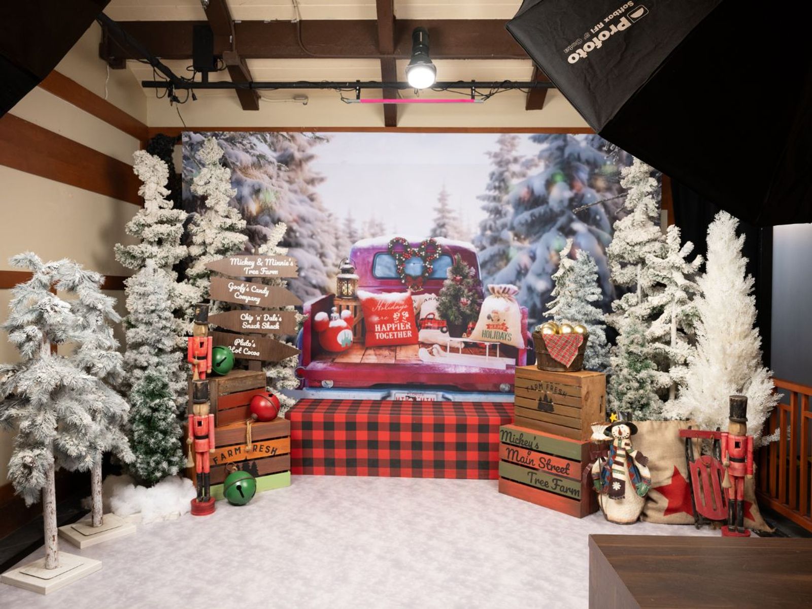 Disney Magic Shots & Backdrops