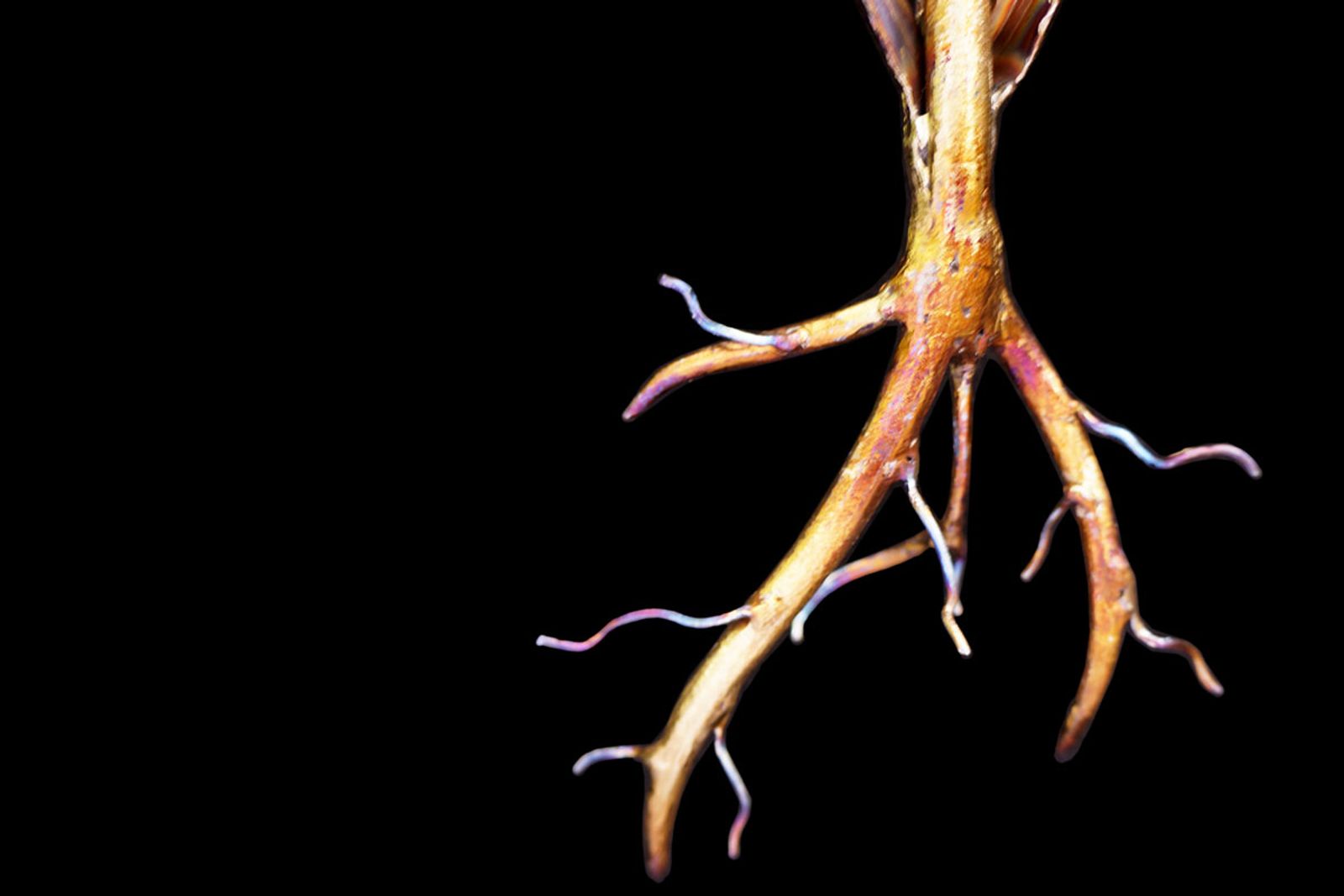 Root detail of stainless steel daisy sculpture, carefully hand-shaped and torch-finished to mimic a plant pulled fresh from the earth.