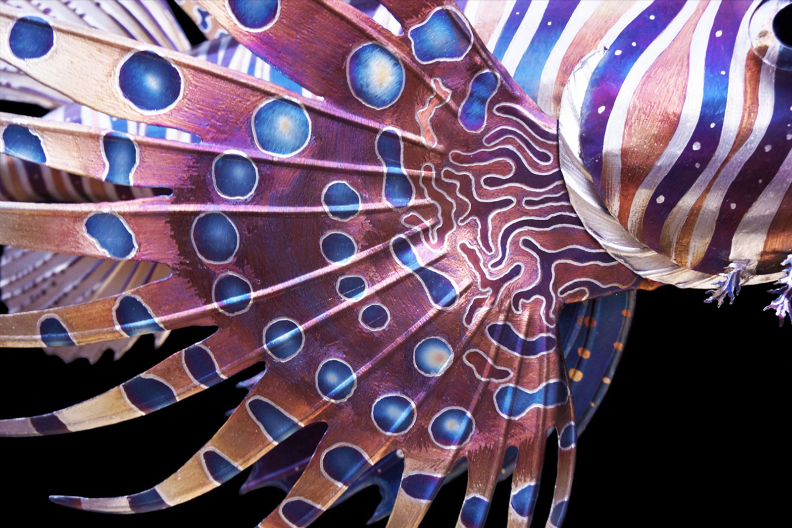 Closeup of lionfish sculptures fin.