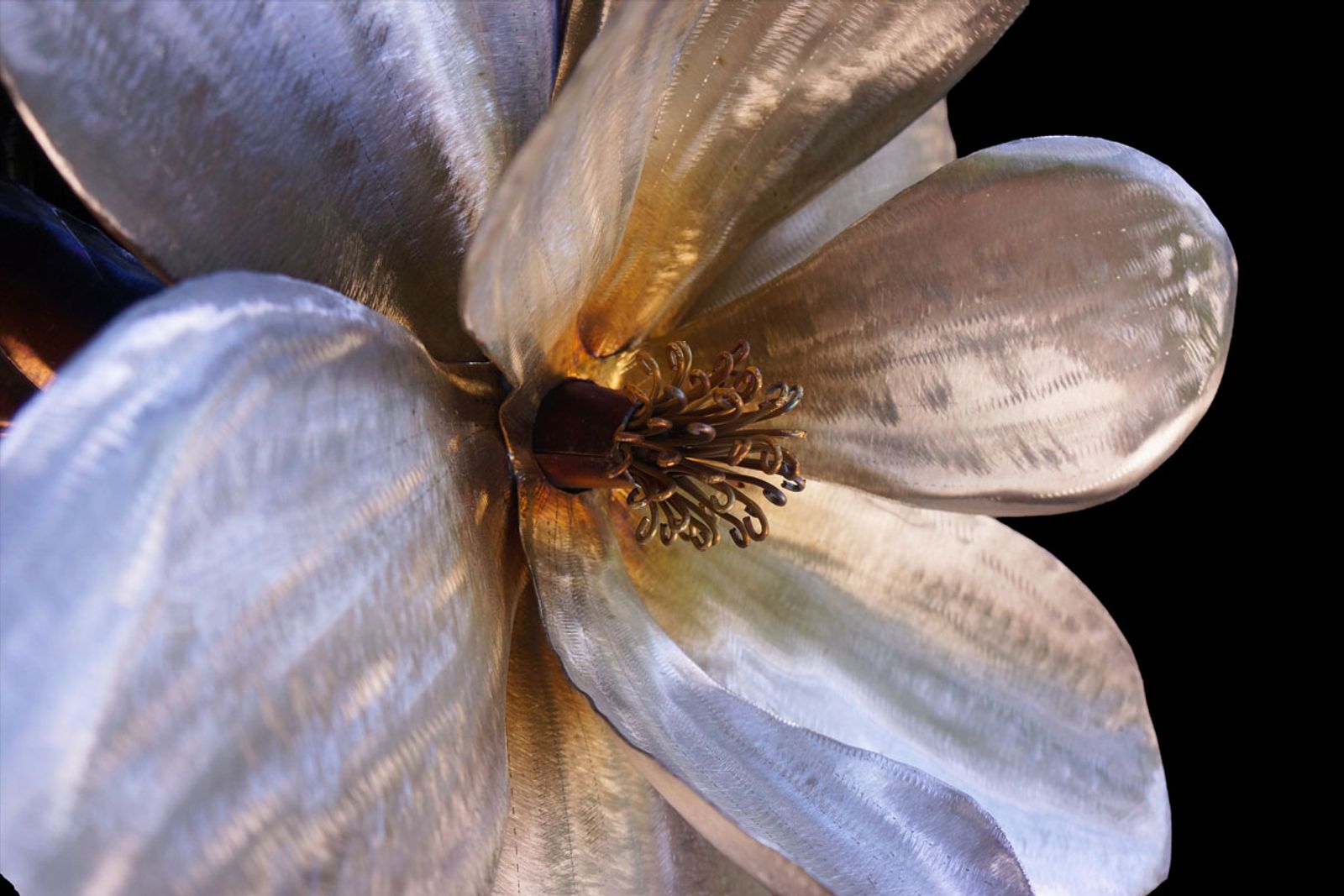 Detailed close-up of magnolia stamen bundle in stainless steel, hand-shaped and ground for lifelike texture.