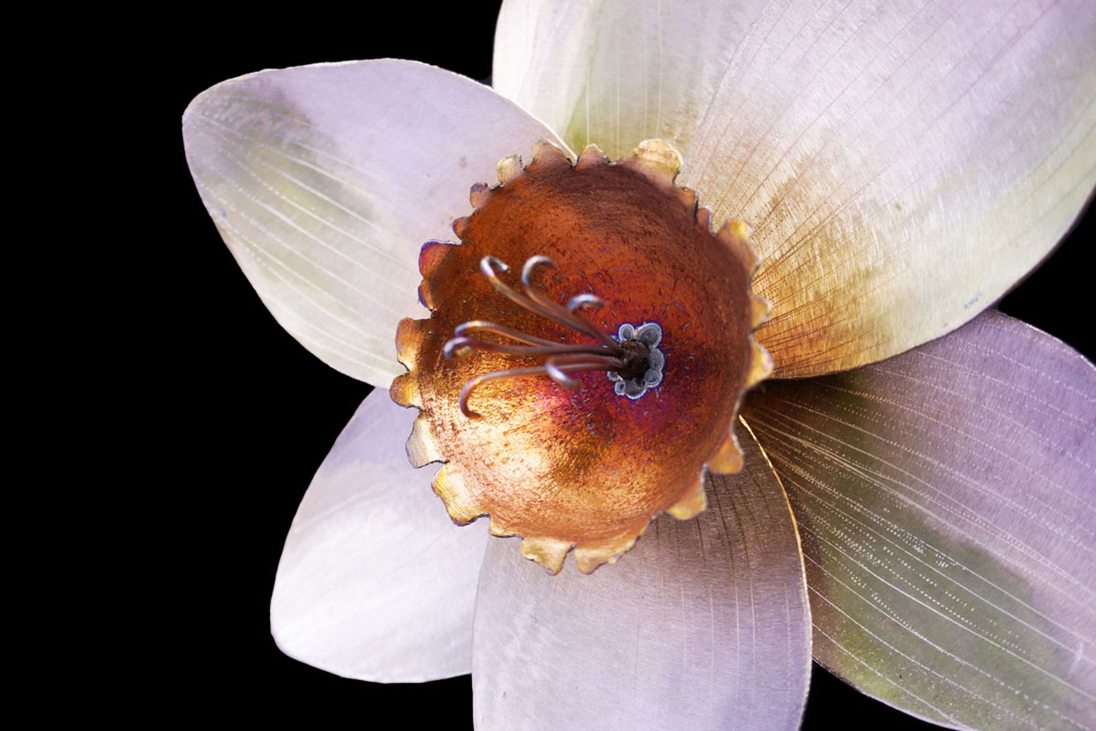 Macro view of the daffodil’s stamen, hand-ground and flame-colored in stainless steel for lifelike detail.