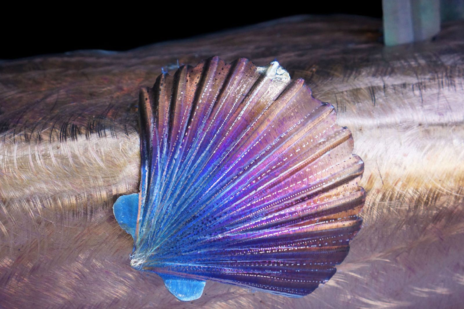Closeup of metal sea scallop shell from red drum scene sculpture.
